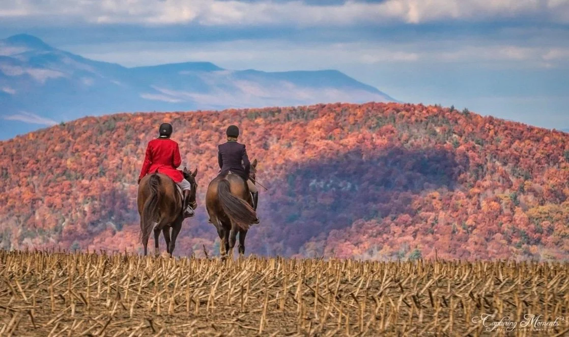 Millbrook Hunt rider on a scenic path with the hounds