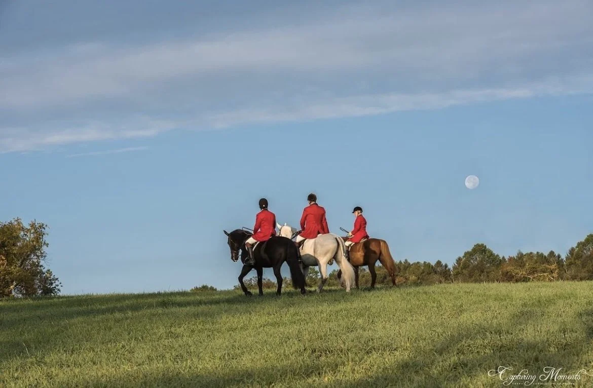 Millbrook Hunt rider on a scenic path with the hounds