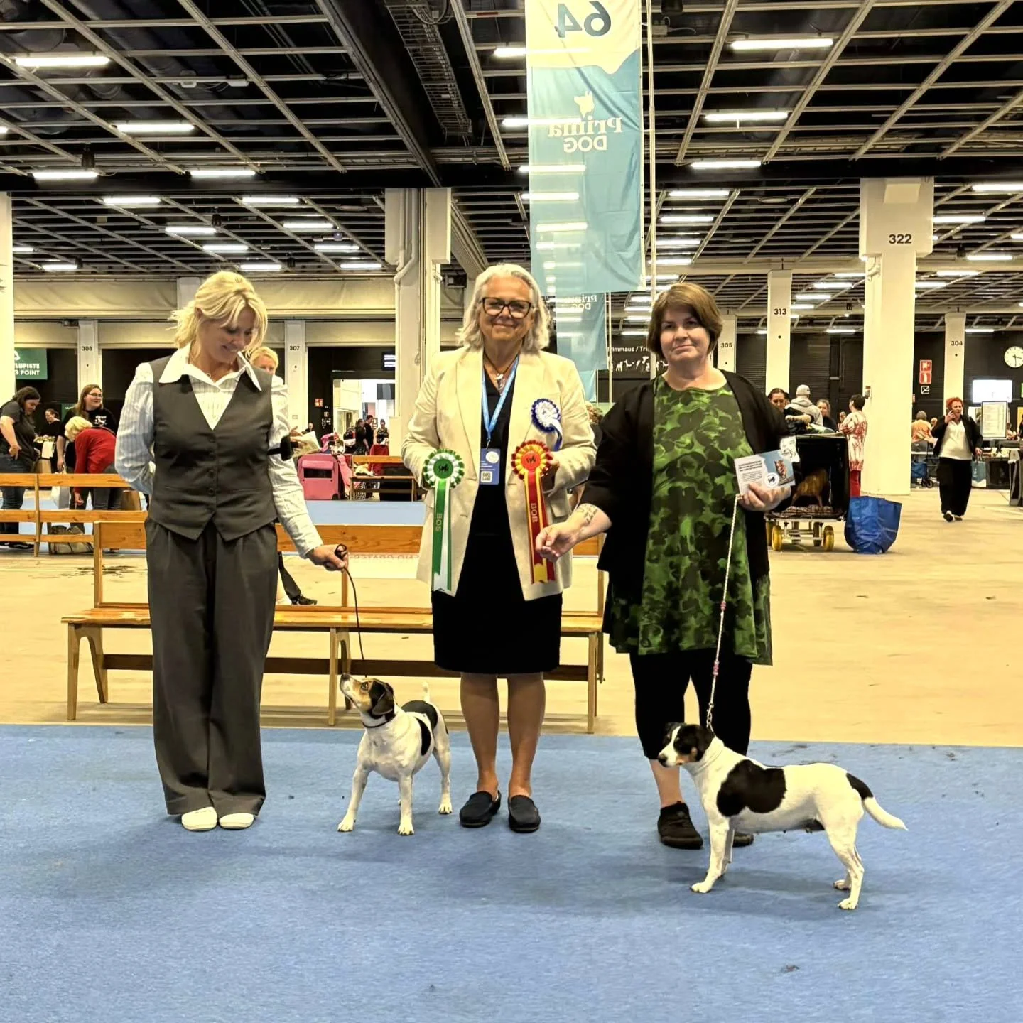 7.8.2025 Finnish Companion Dog Organization/WDS CIRCUIT

Tuomari: Maritha &Ouml;stlund-Holmsten 

Yacatis Oraios Passion Of Love
JUN ERI 1 SA PU4 VSP-JUN JUN SERT HeCJW-25

Yacatis Eureka Ephiski 
VET ERI2 SA

Yacatis Menev&auml; Mimmi 
VAL ERI

Yaca