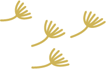 Quatre branches de pissenlit sèches dorées