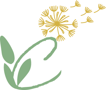 Illustration d'une plante stylisée avec des feuilles vertes et une tête de fleurs jaunes en forme d'extrémités d'une fleur d'aneth.