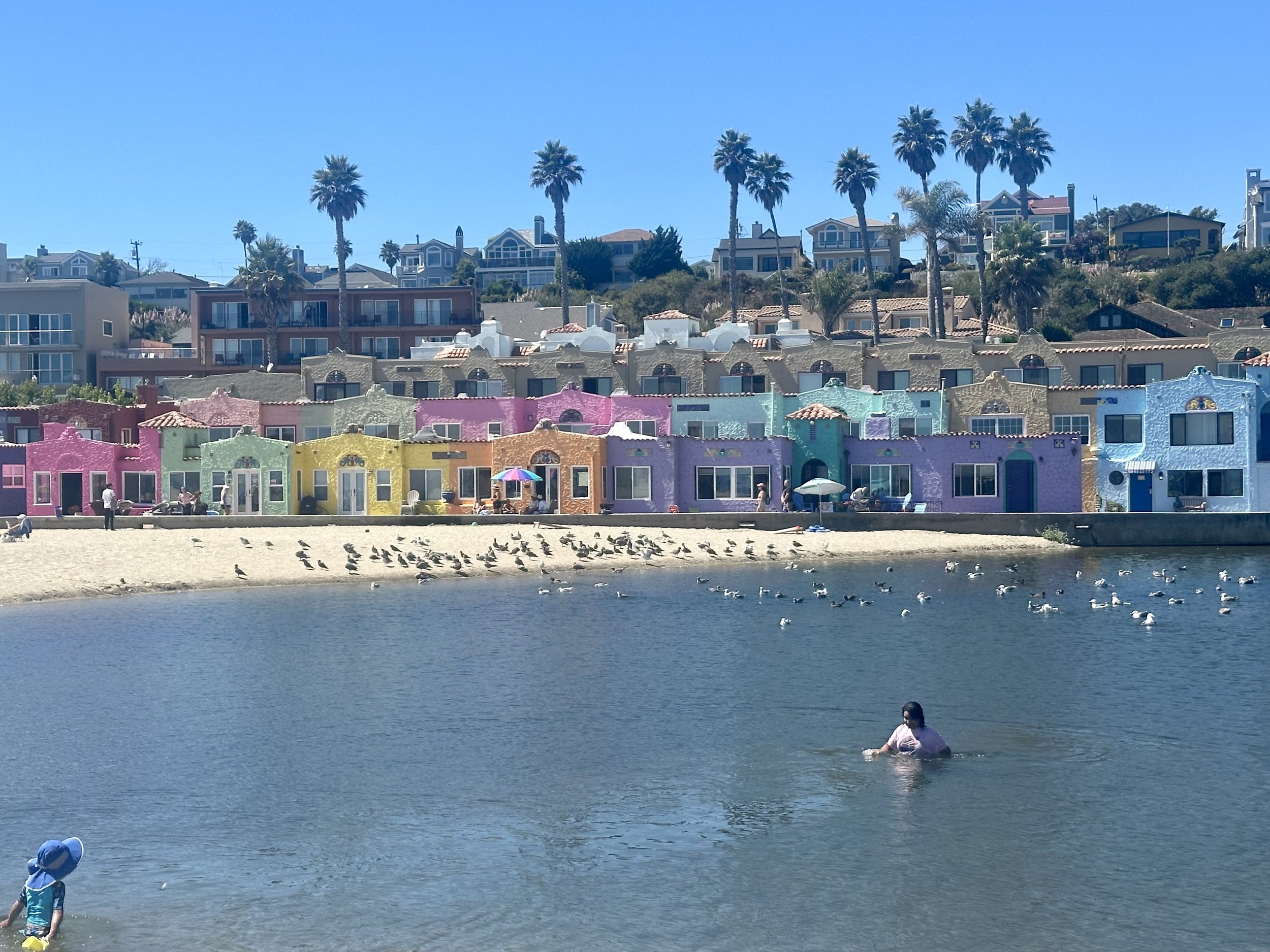 Colorful beachside houses with palm trees and people swimming and relaxing near water.