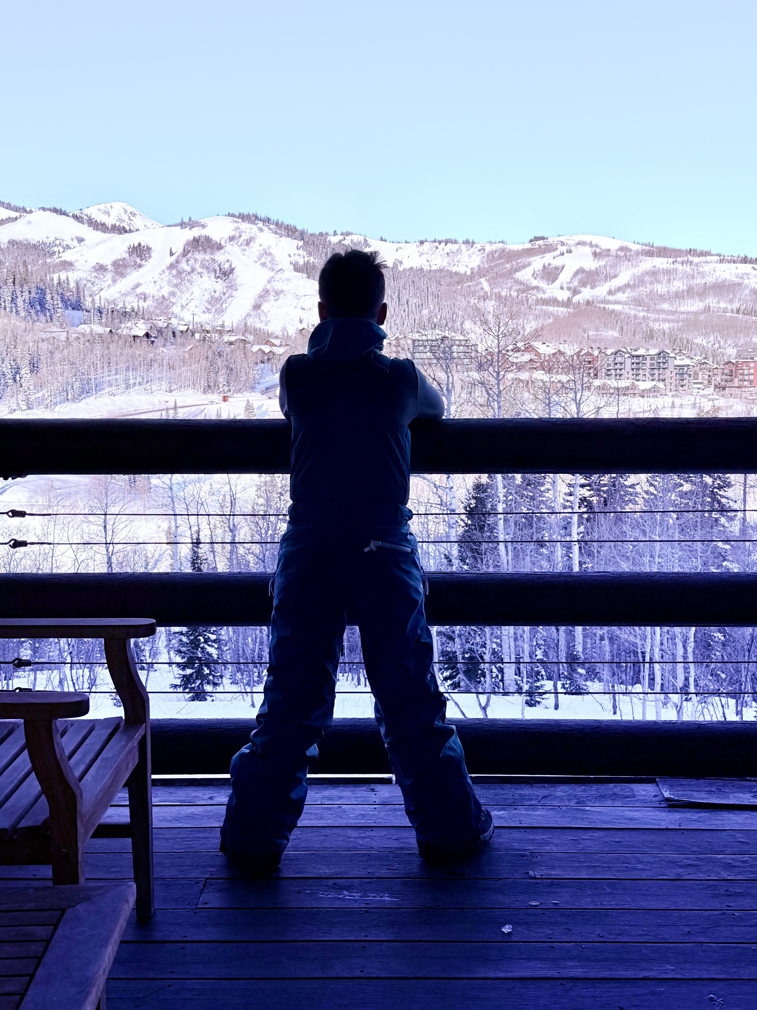 Person with winter clothing looking at snowy mountain landscape from a wooden deck.