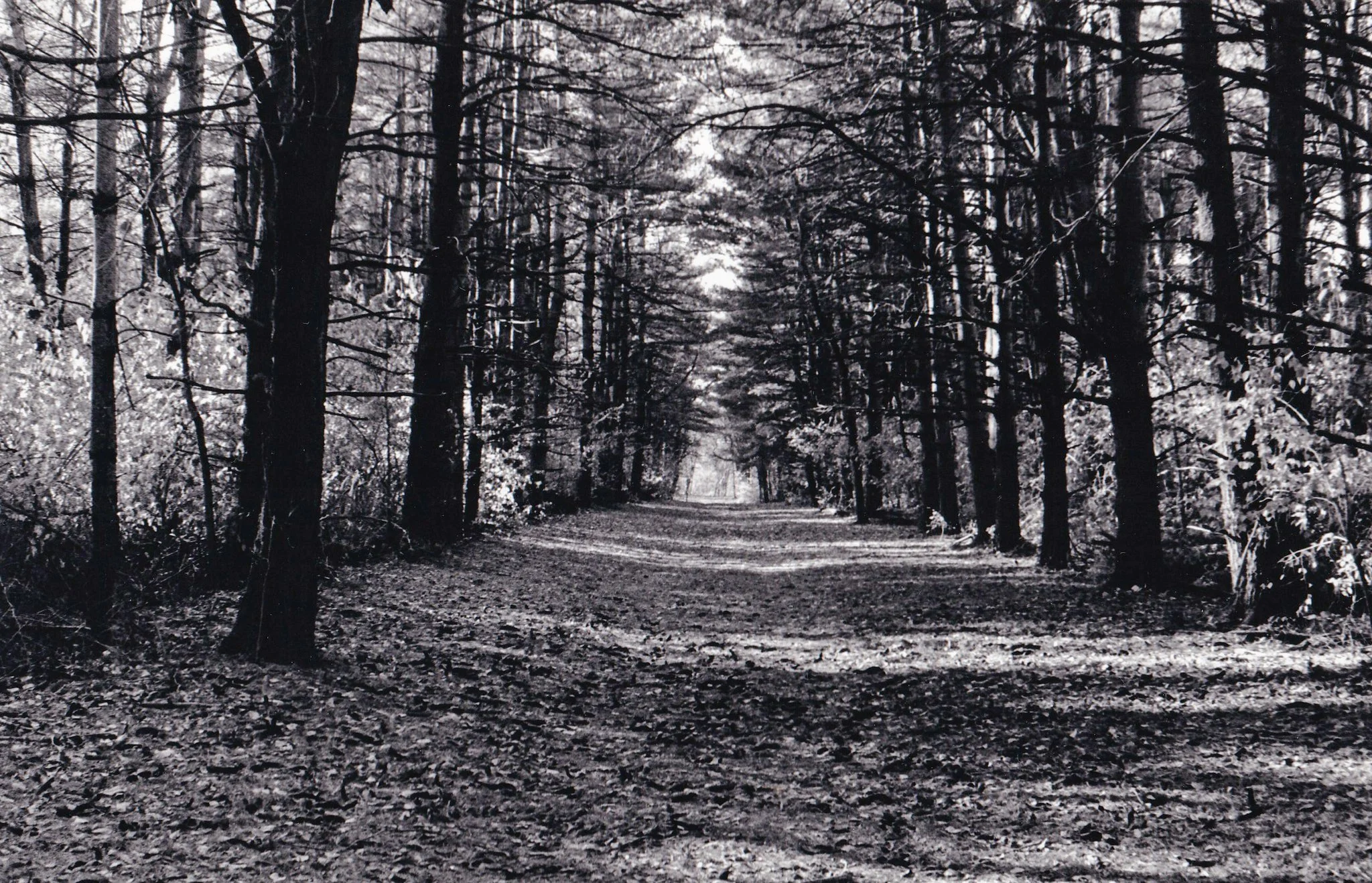IMG_20260625_0005.jpg