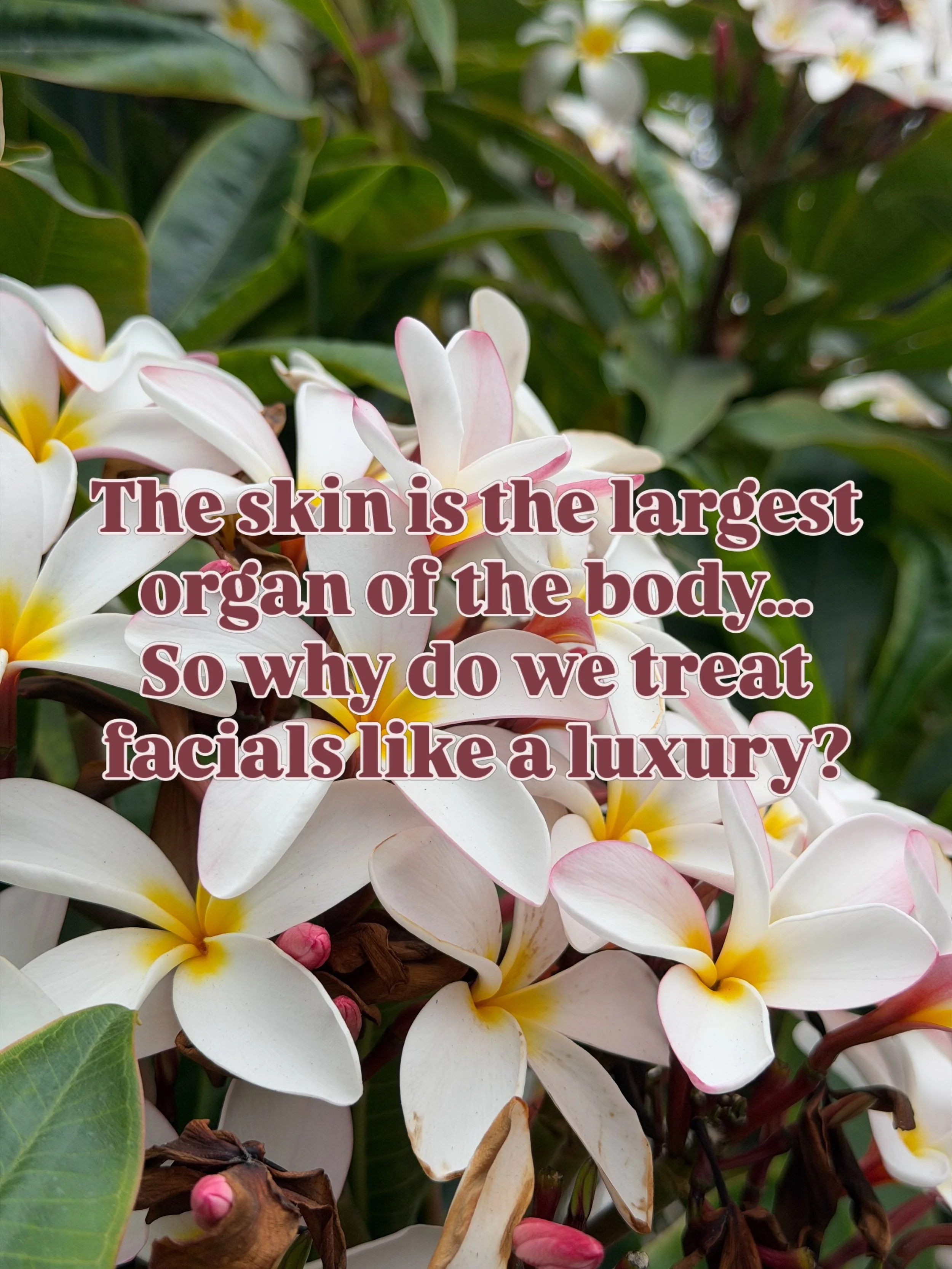 Your skin does so much more than we give it credit for. It protects you, regulates temperature, and acts as a barrier between your body and the outside world.

Yet, skincare is often treated as an afterthought rather than an essential part of our ove