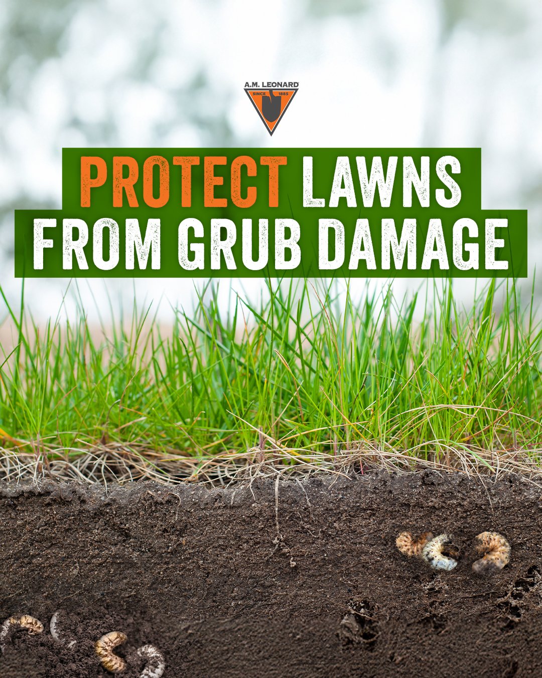 5-5-25_Grub_Control_1080x1350.jpg