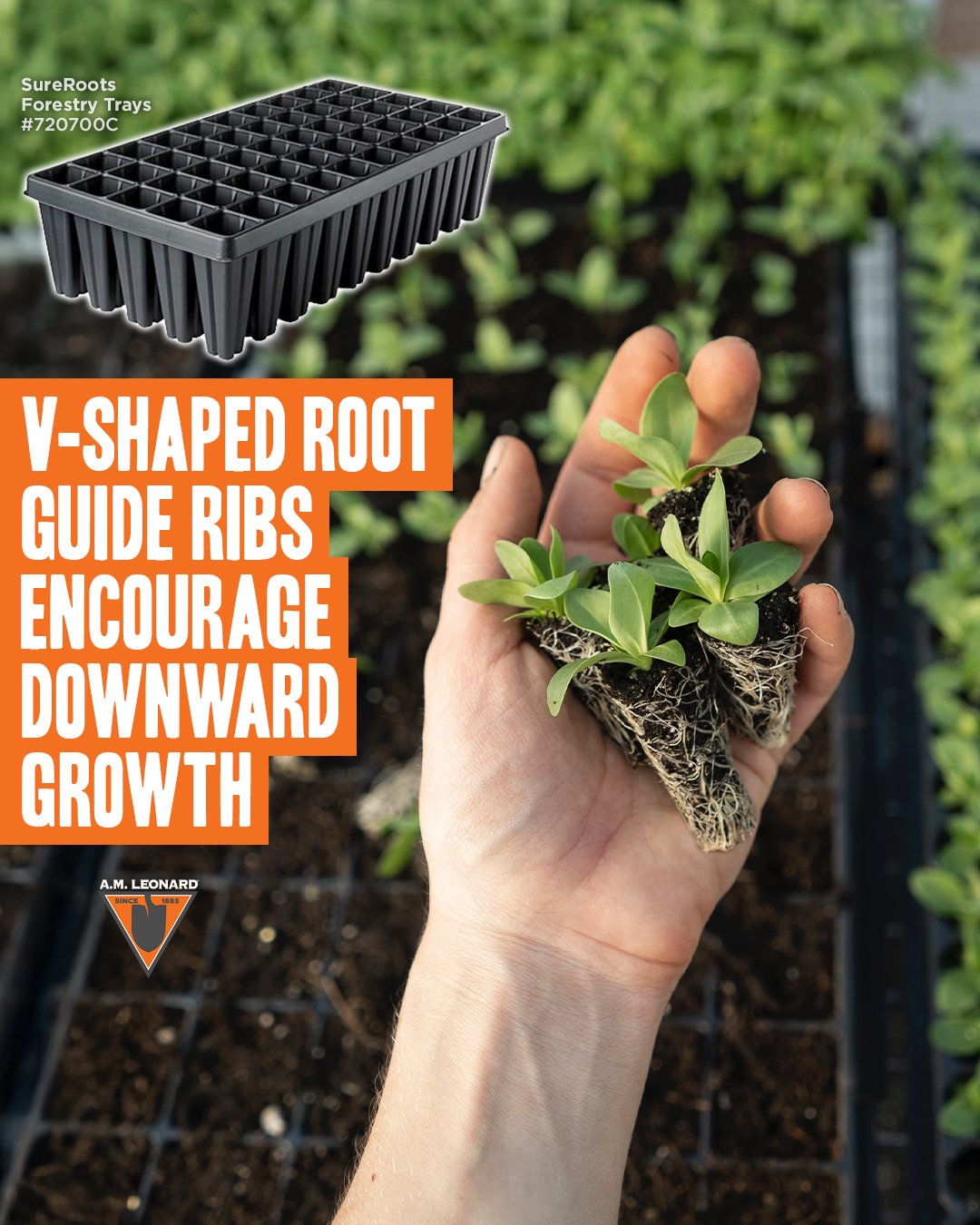 1-28-25_720700C_Sureroots_Tray_Top_1080x1350.jpg