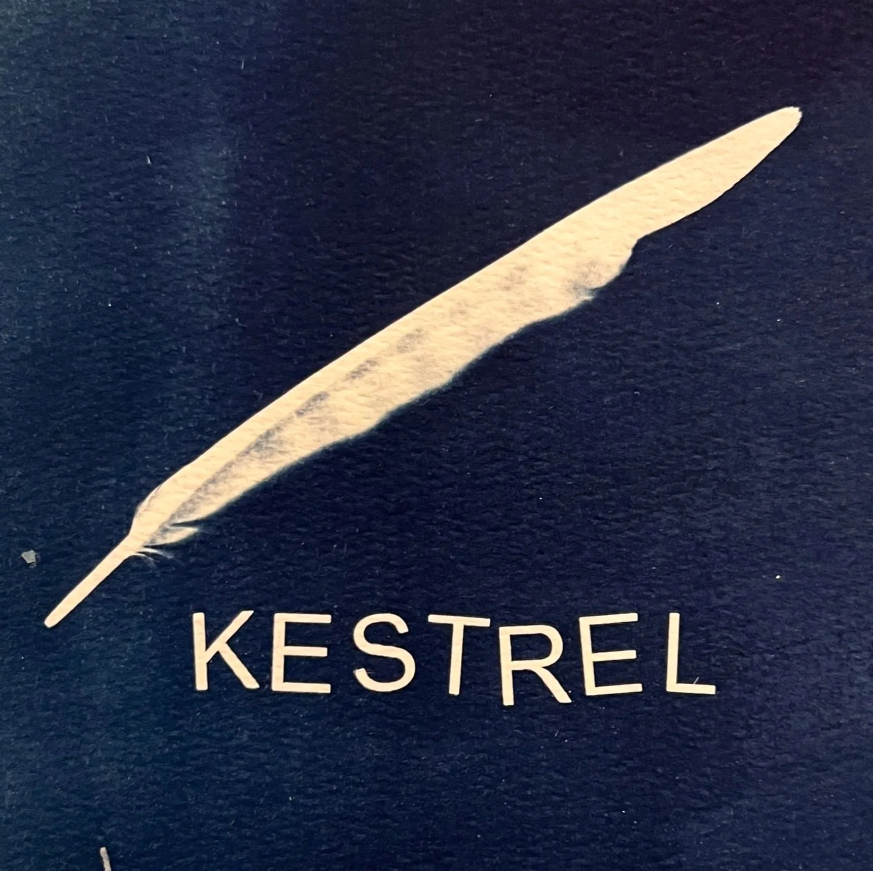 Kestrel+.jpg