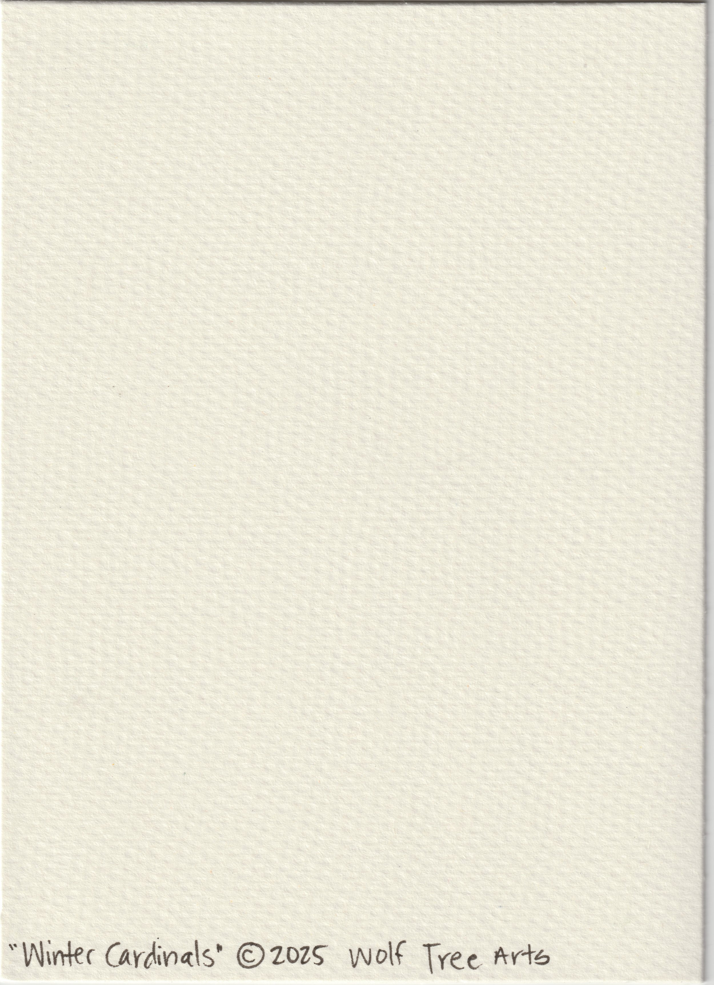 winter cardinals back.jpg