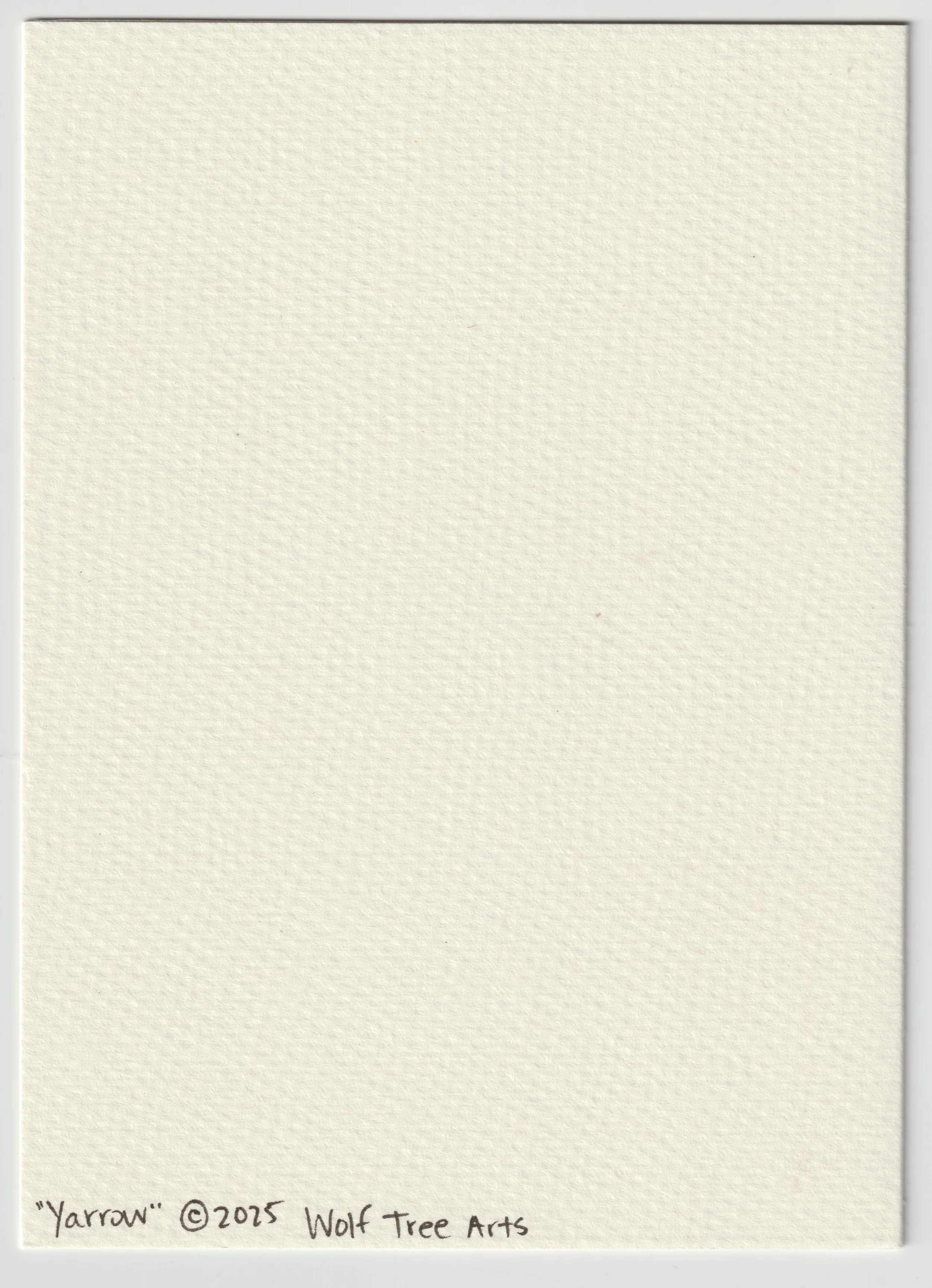yarrow card back.jpg