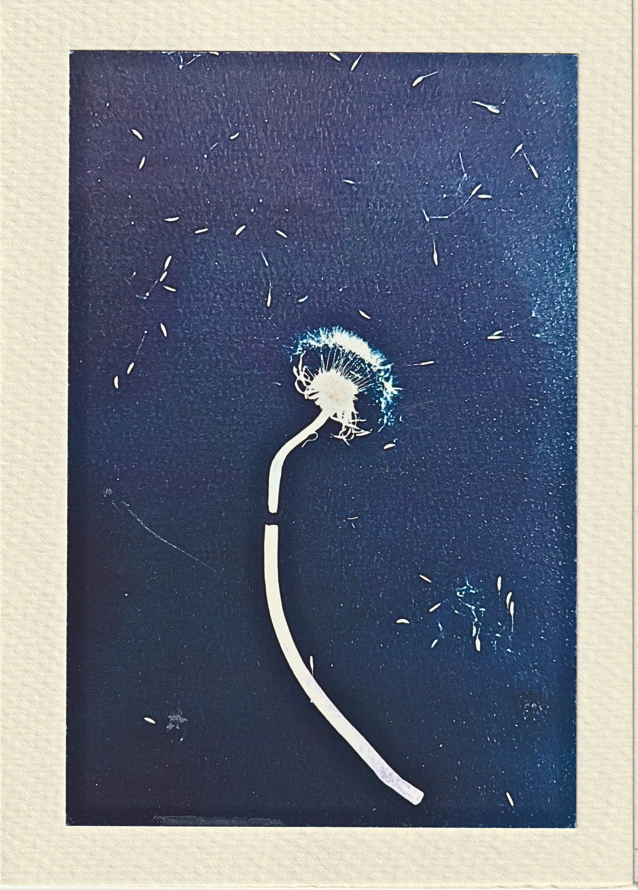 Released- Watercolor Card