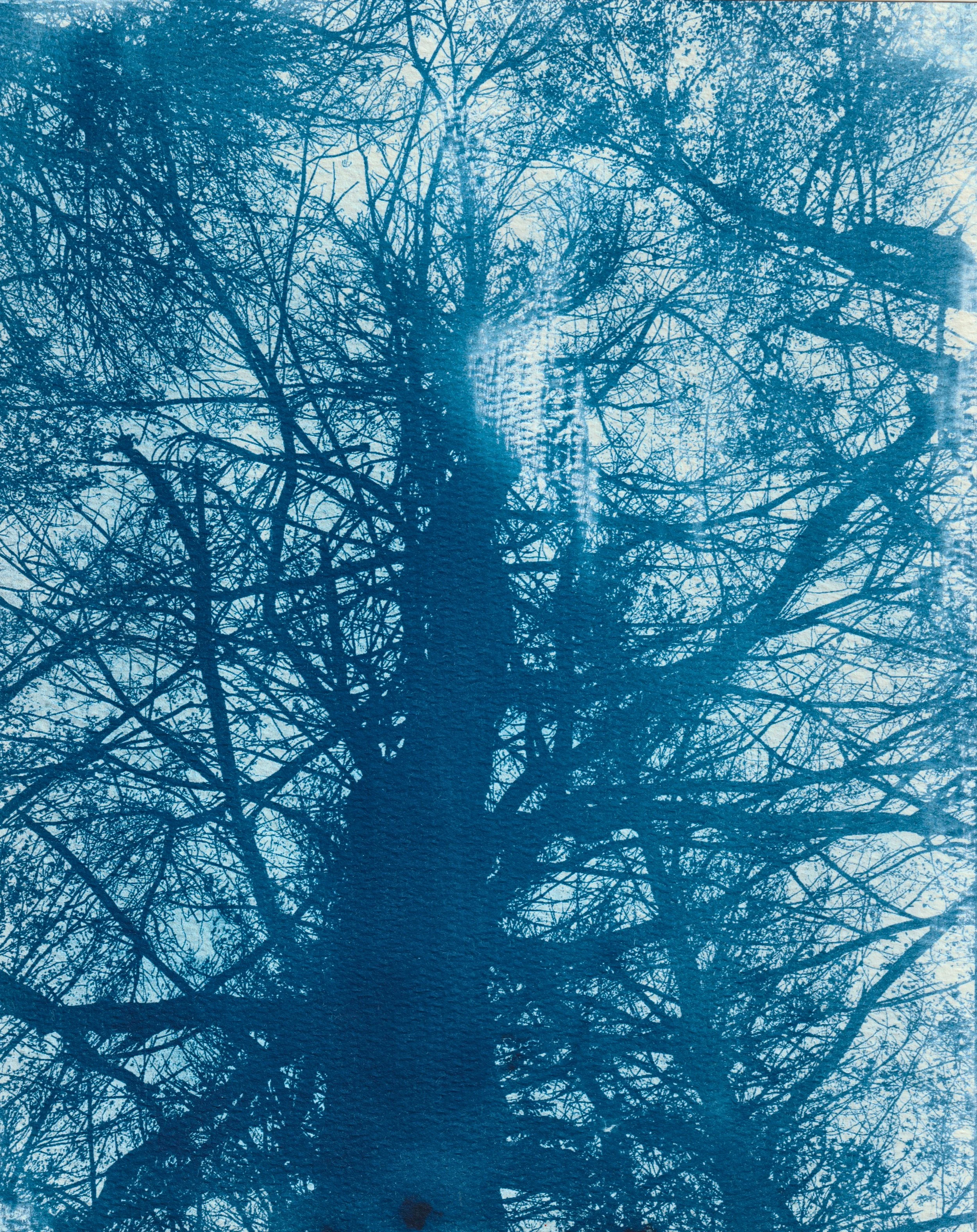 stick season original 8x10.jpg