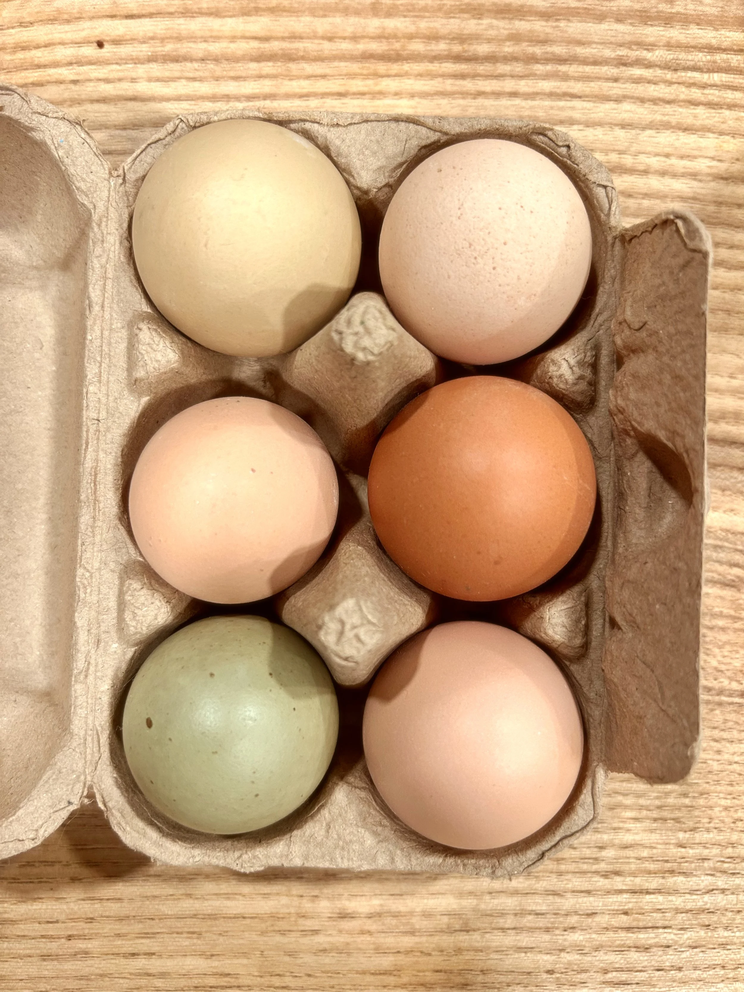 The Creative Kitchen