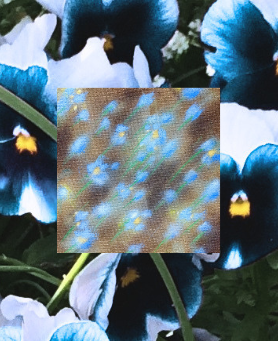 Untitled design.png