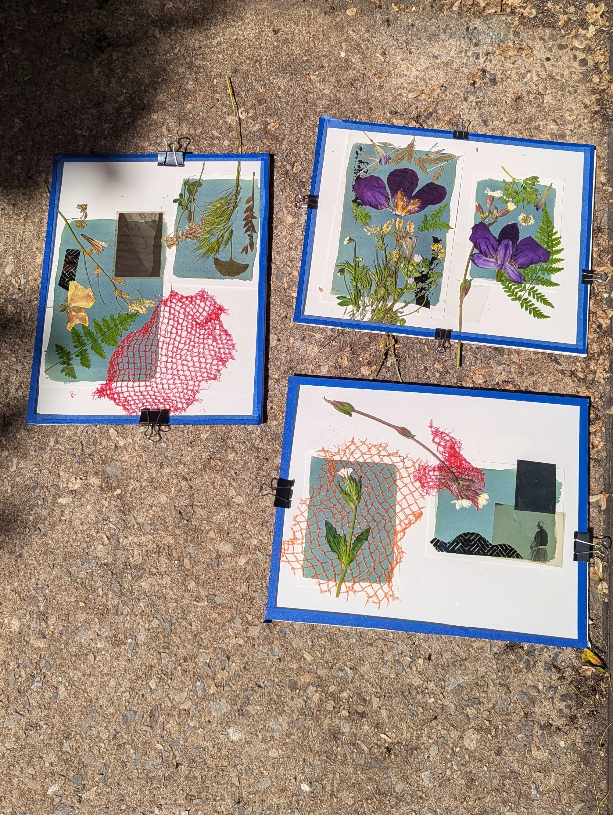 craft nation cyanotype workshop image 2