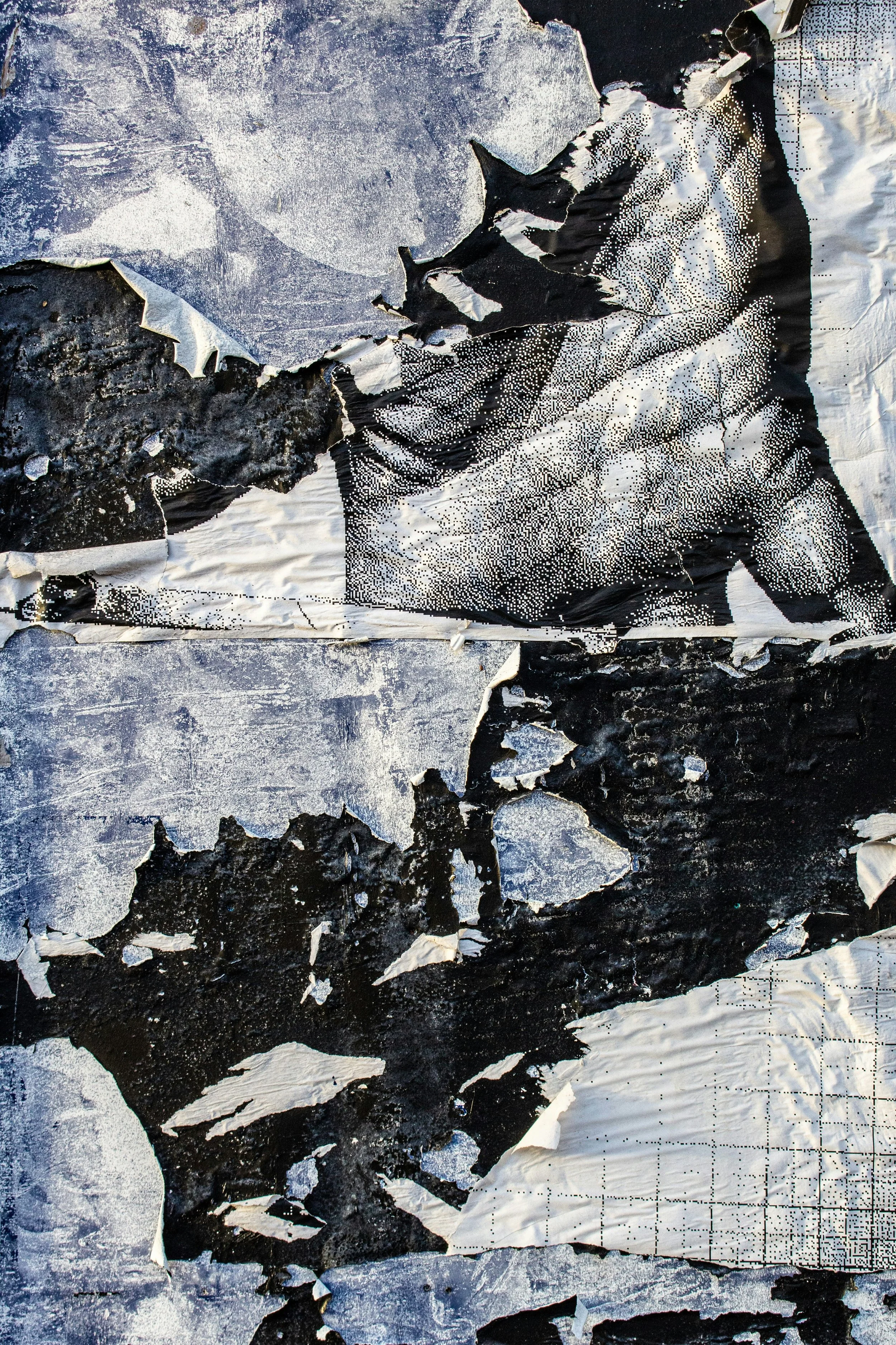Protest Art: Collage Fundraiser for New Sanctuary Movement, Thursday 7/30