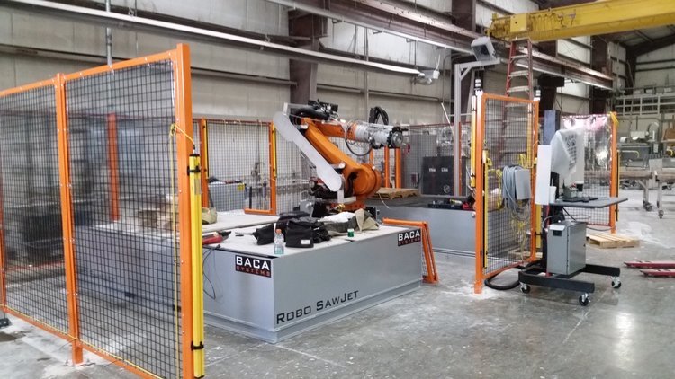 robotic+2.jpg