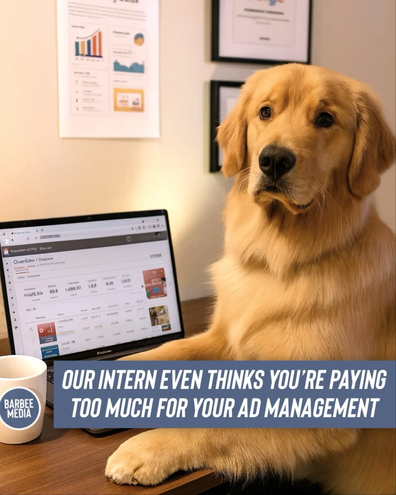 Certified good boy. Certified good ads.

Our intern might nap on the job, but the Launch Kit doesn&rsquo;t.

Meet our golden intern. Great at fetch, terrible at spreadsheets. But even he knows the Launch Kit covers the essentials:

	&bull;	PPC &rarr;