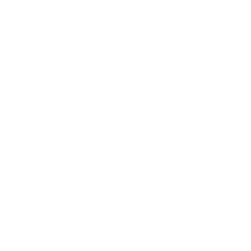 Logo for Brightcause Consultancy in white text on a black background.