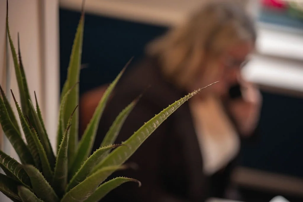 Close-up of a green, spiky aloe vera plant in the foreground with a woman talking on the phone blurred in the background.