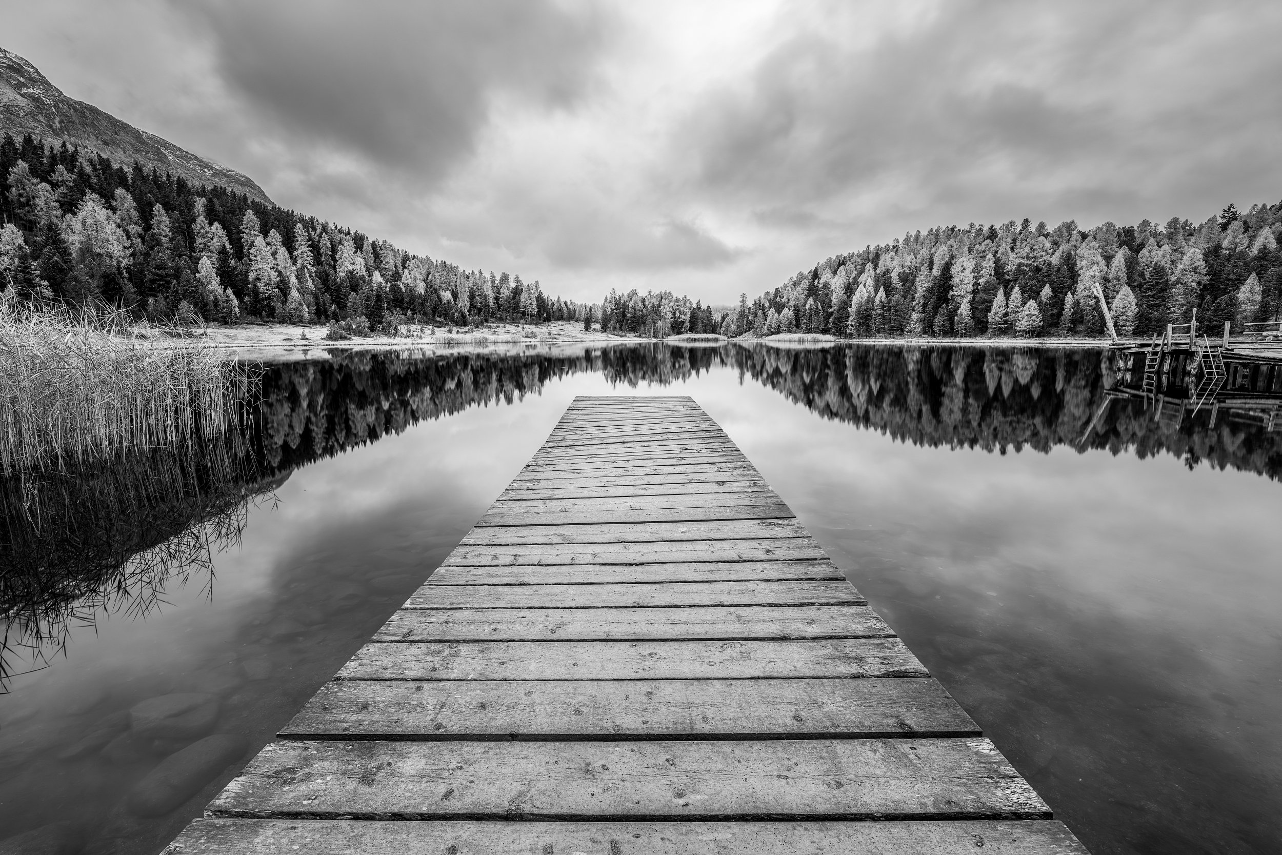 _DSC0709-Edit_Long Edge_2500x1667_U_100.jpg