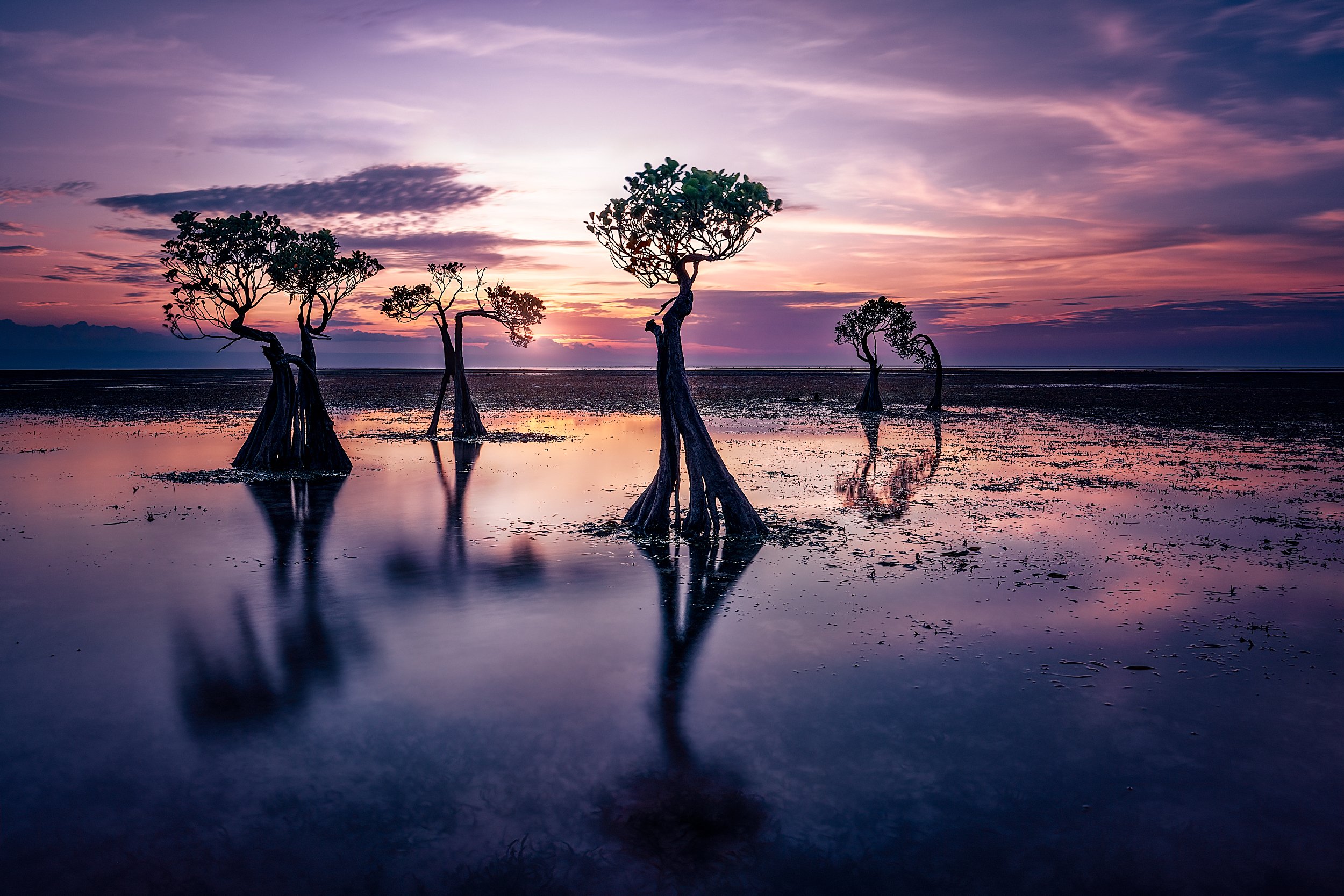 Sunset over a body of water with five mangrove trees reflected in the water, showing a colorful sky with purple, pink, and orange hues.