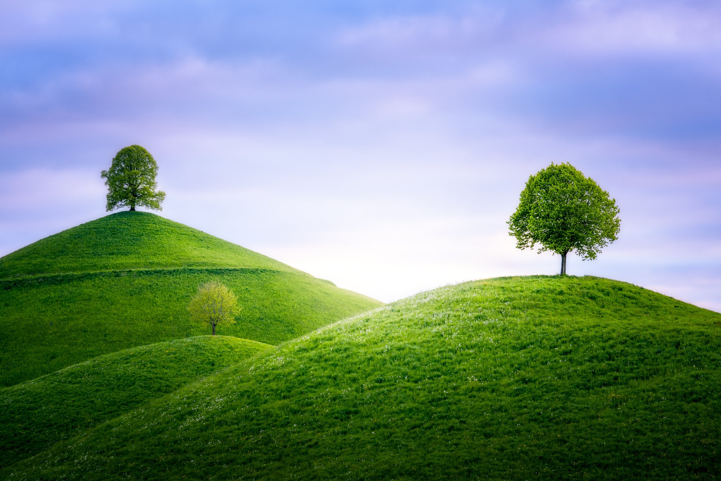 Three green trees on rolling grassy hills under a partly cloudy sky.