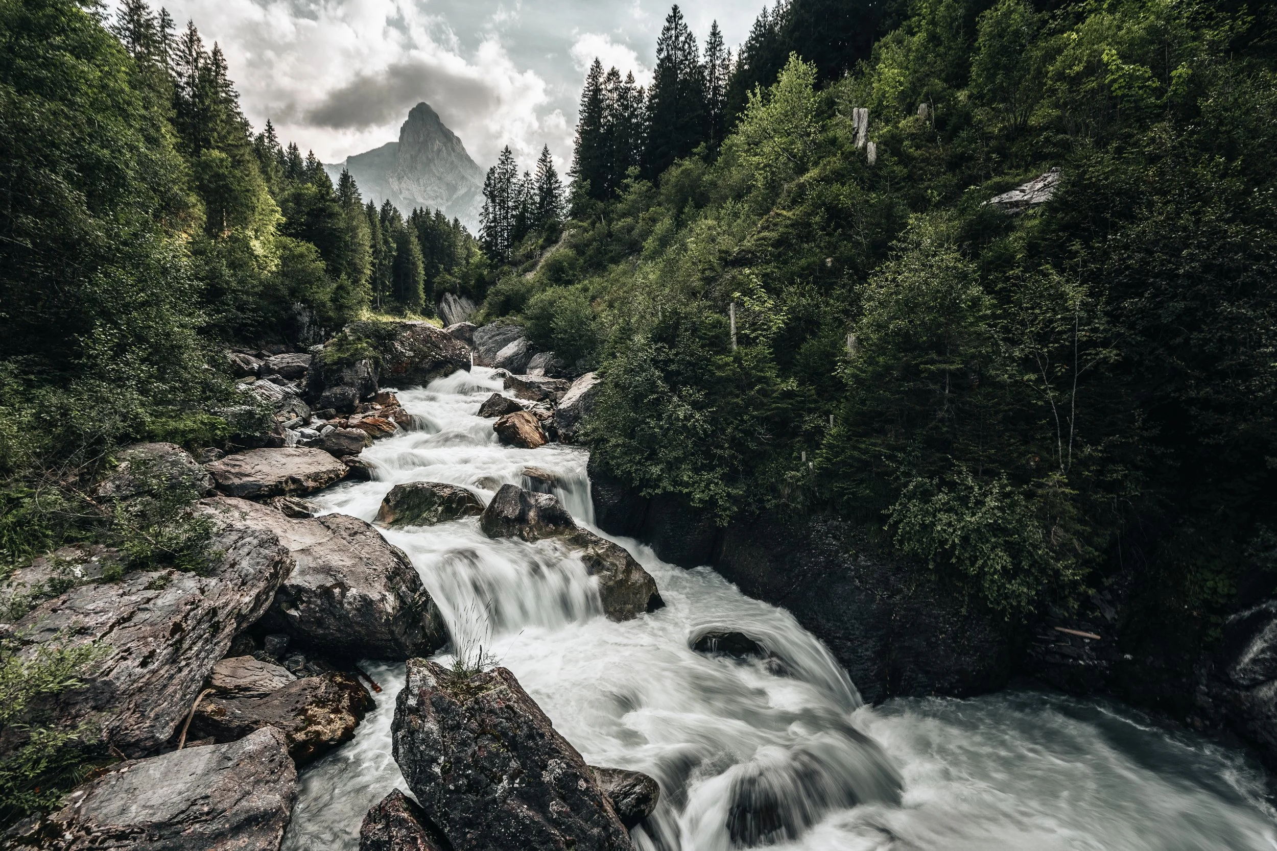 A mountain stream flowing over rocks in a lush green forest with a mountain peak in the background.