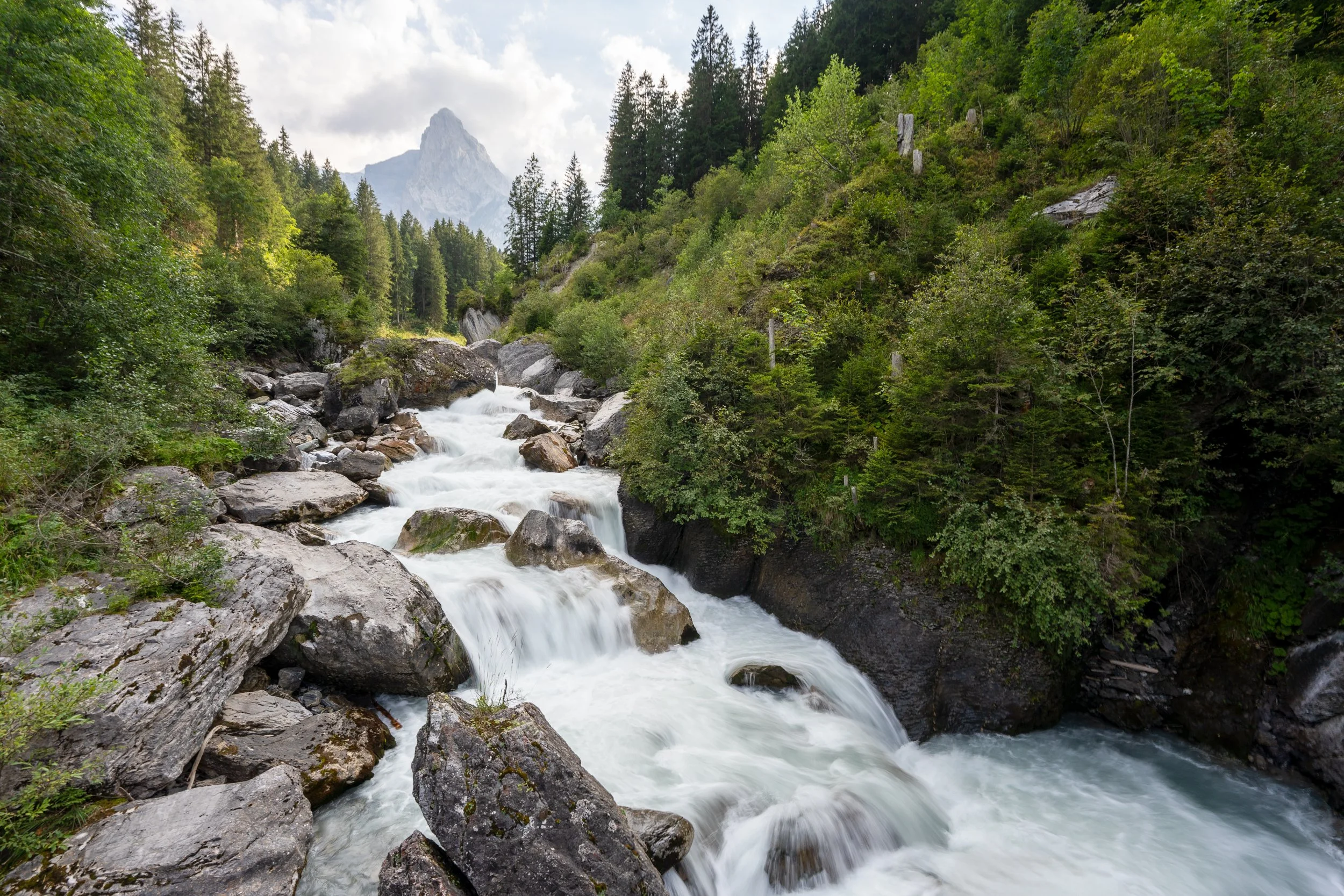 A mountain stream with white water flowing over rocks, surrounded by dense green trees and hills, with a mountain peak visible in the background.