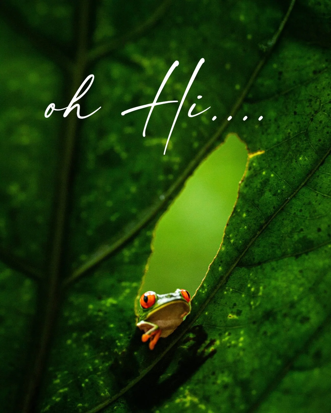 Packing for a trip that&rsquo;s been on my list for a very long time. Jungle. Ocean. Every shade of green. Lots of cute creatures (and maybe a few scary ones).  Any guesses? I can&rsquo;t wait to share. @selectedescapes @andavotrav #curatingjoy #inte