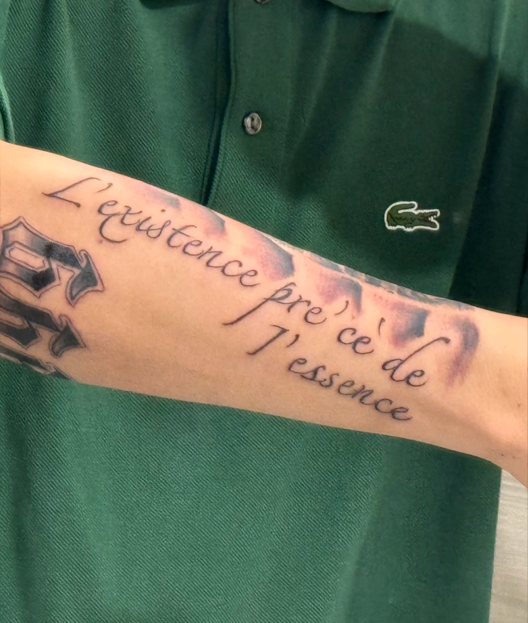 Mountain landscape with snow-capped peaks and a modern house in the foreground, surrounded by grassy hills under a cloudy sky.