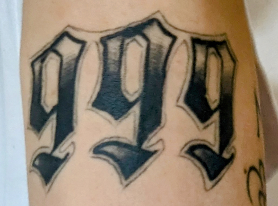 Modern wooden building with large window in a mountainous landscape, surrounded by grass and plants.