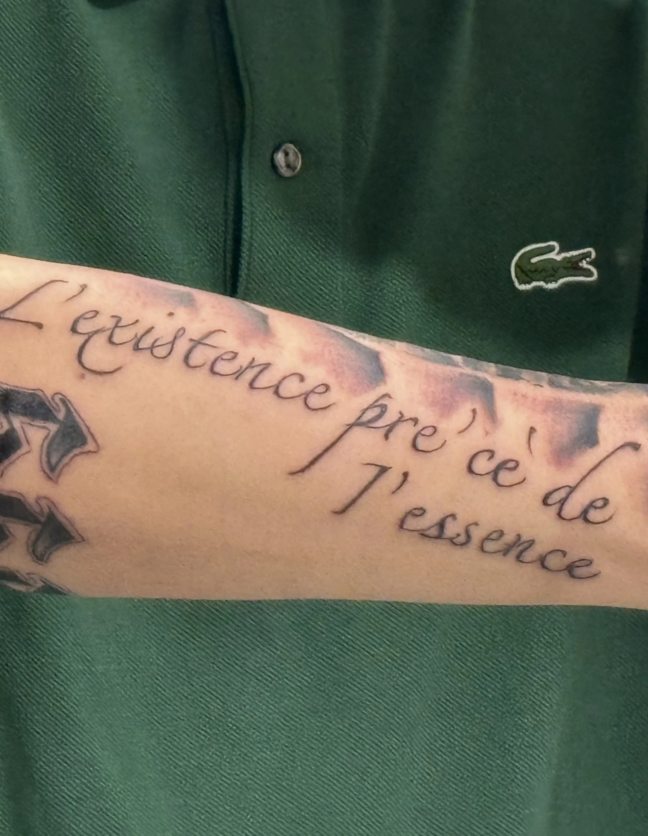 Mountain landscape with snow-capped peaks and a modern house in the foreground, surrounded by grassy hills under a cloudy sky.