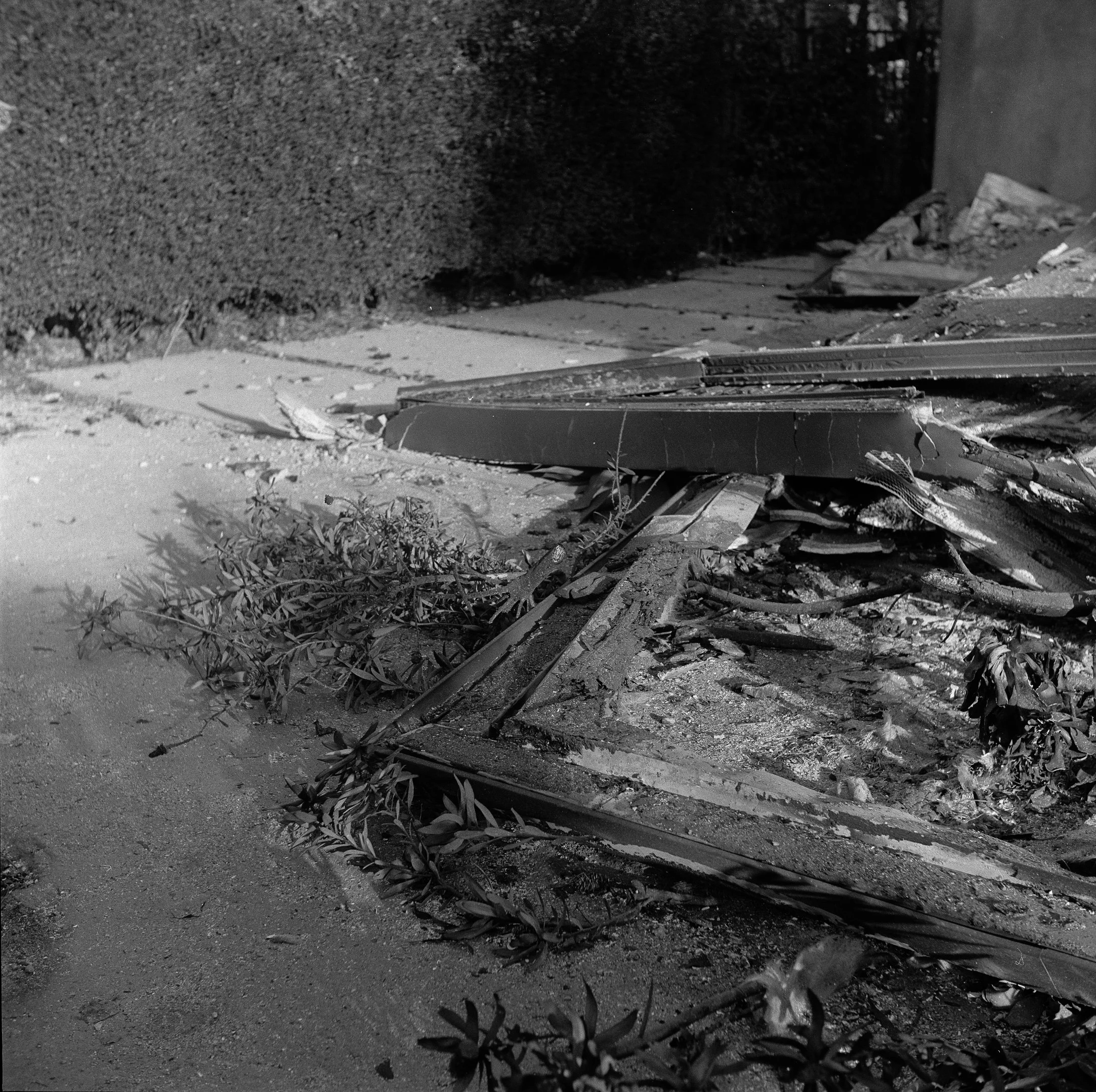 better scan close up.jpg