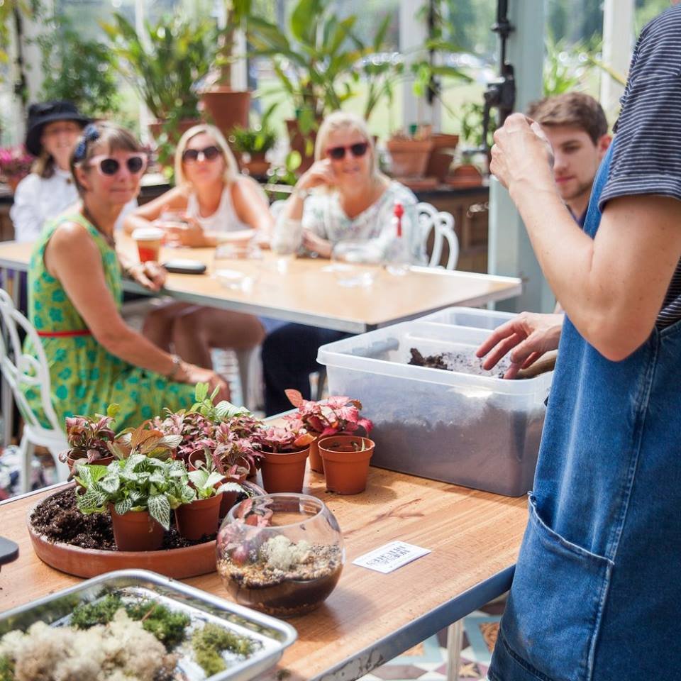 A group of women and one man sitting around a table outdoors, watching a woman demonstrate planting seedlings in pots on a table with various plants and soil, in a garden-like setting with sunlight and greenery.
