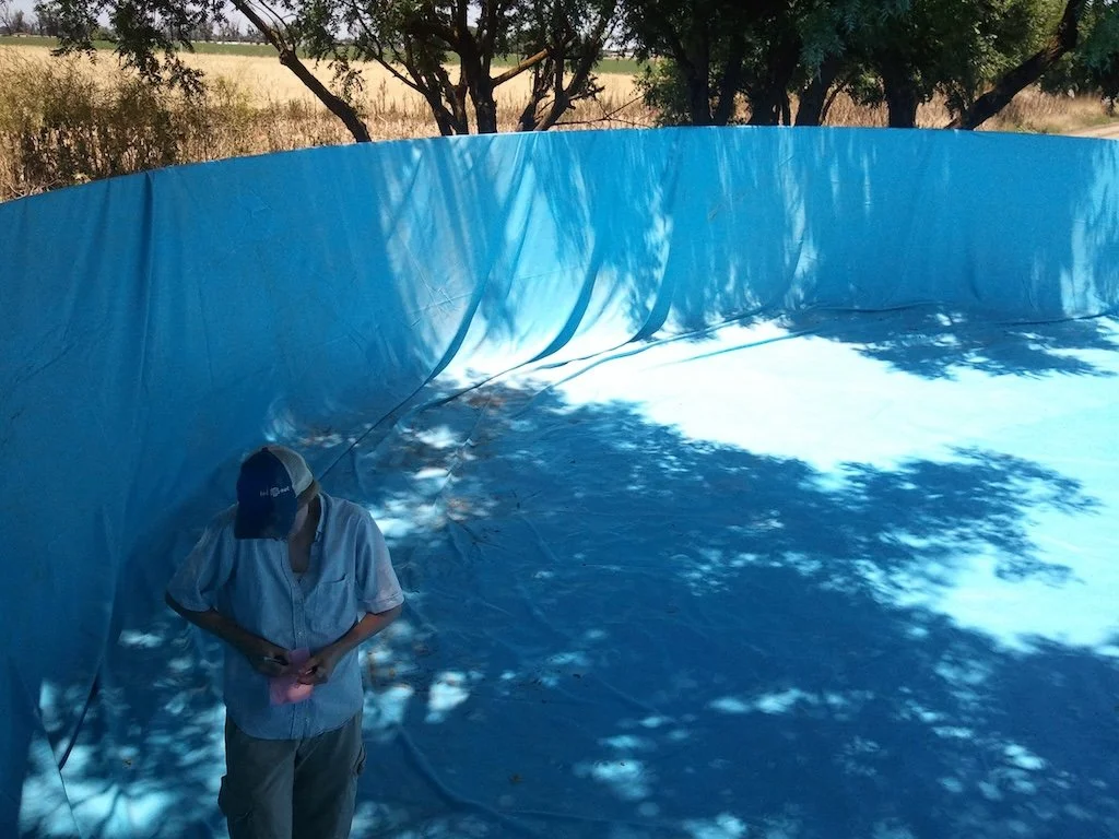 A large, empty, in-ground swimming pool with a blue vinyl lining, outdoors in a rural area with trees.