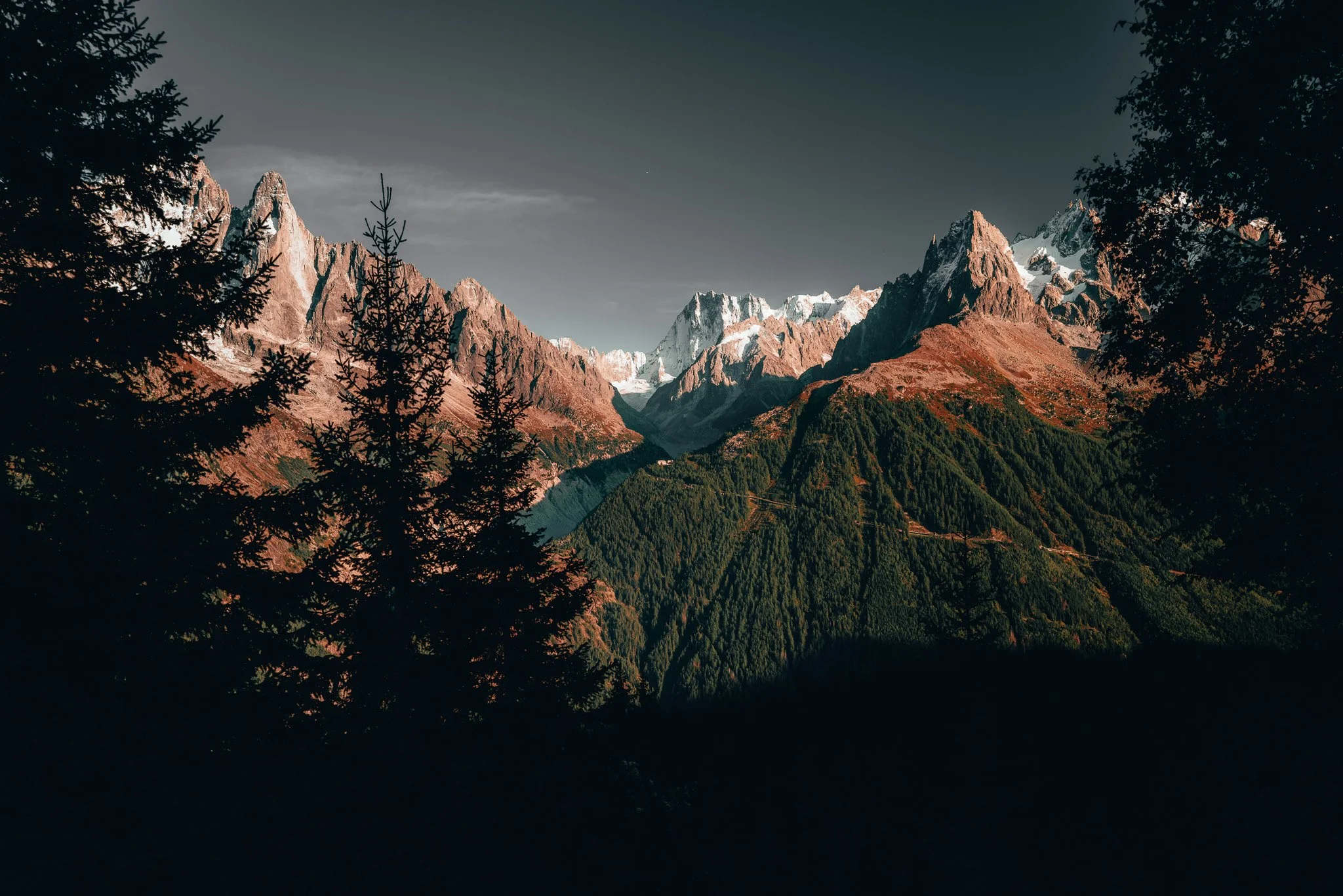 L1002762-2.jpg