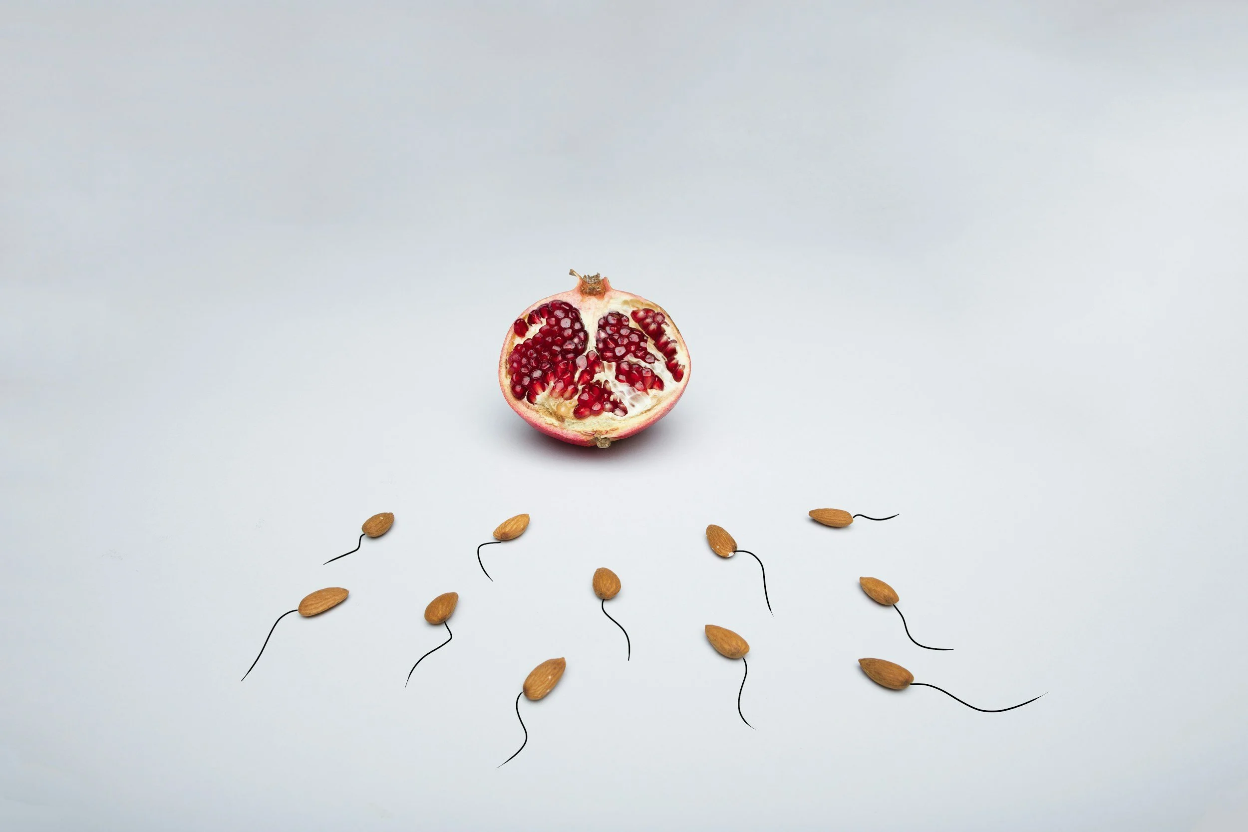Fertility Acupuncture