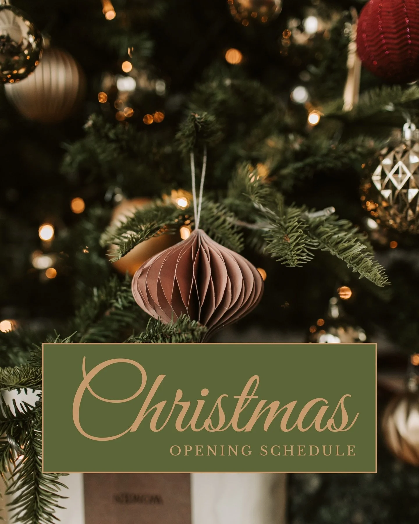 🎄✨ Holiday Opening hours!

Here are our special December - January opening schedule. Join us for tapas, wine, and a cozy festive atmosphere. 🥘🍷