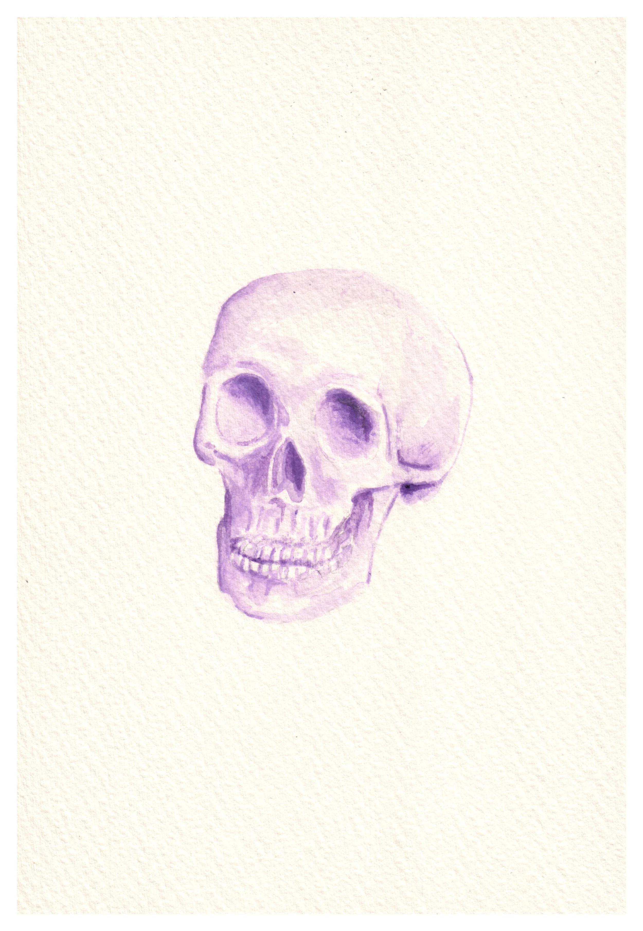 Purple Skull.jpg
