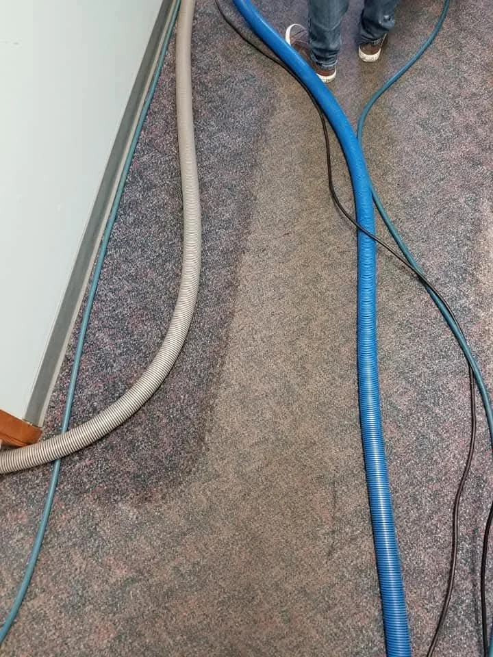 Commercial Carpet Cleaning