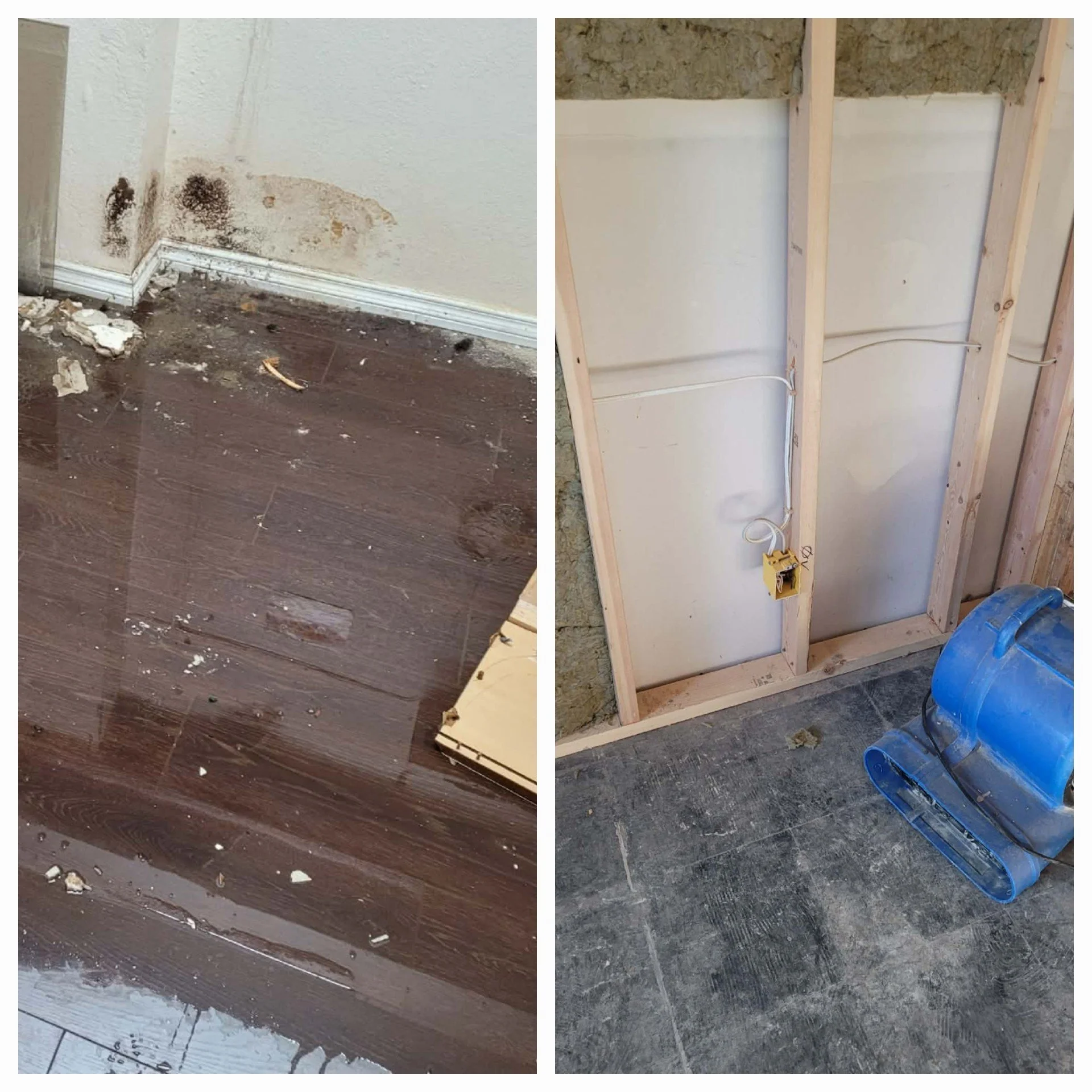 Water flood Restoration Services
