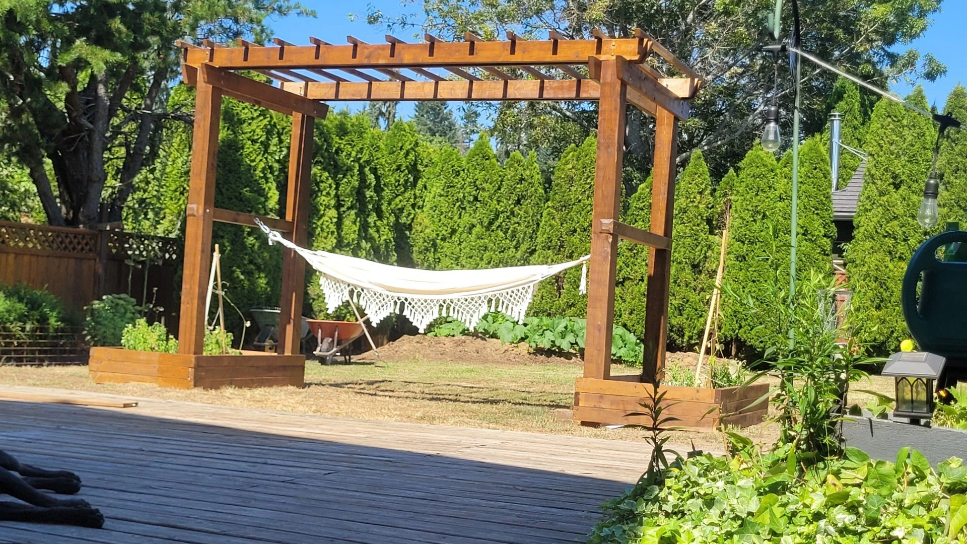 large grape pergola 