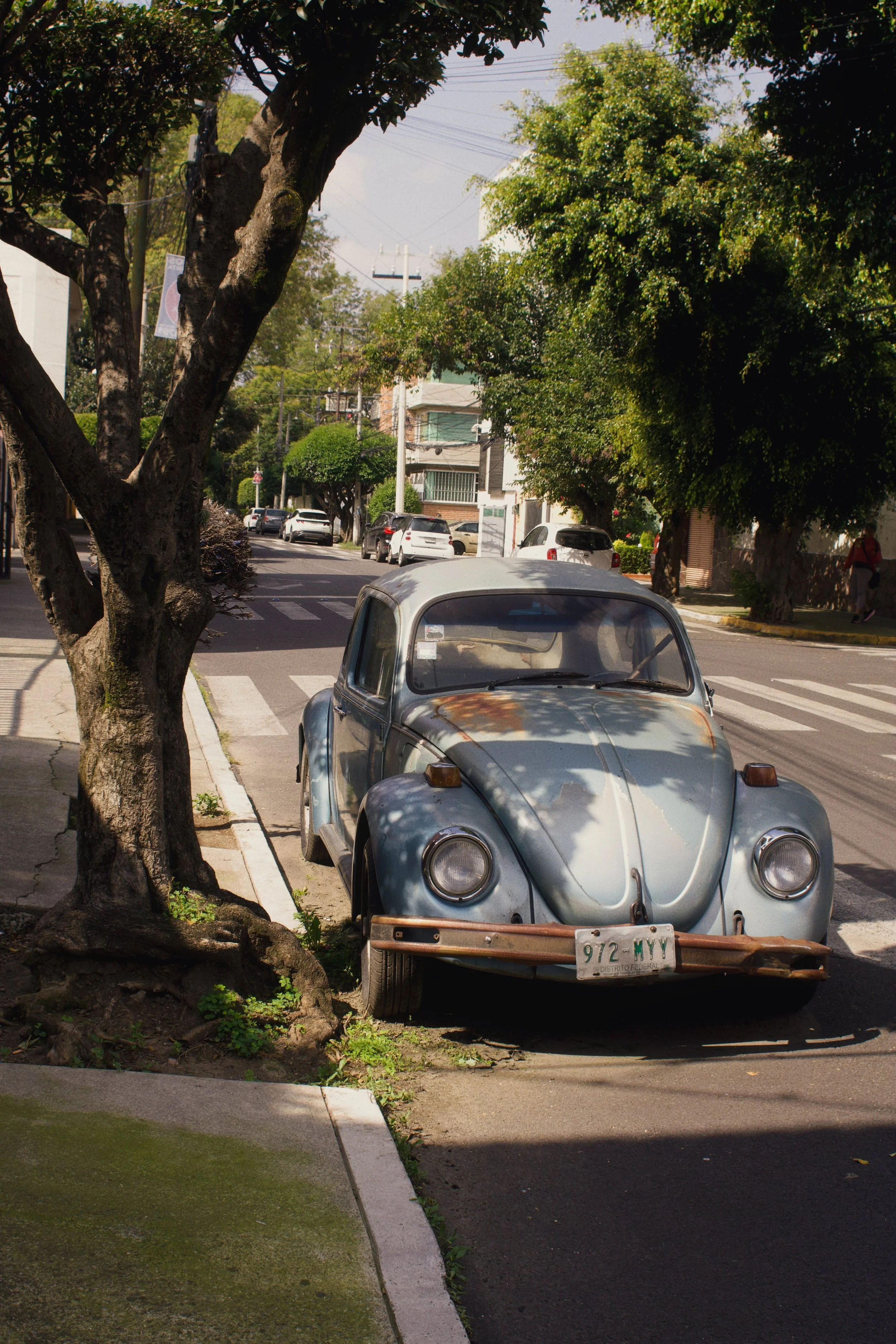 Why the Feck Did He Take That?