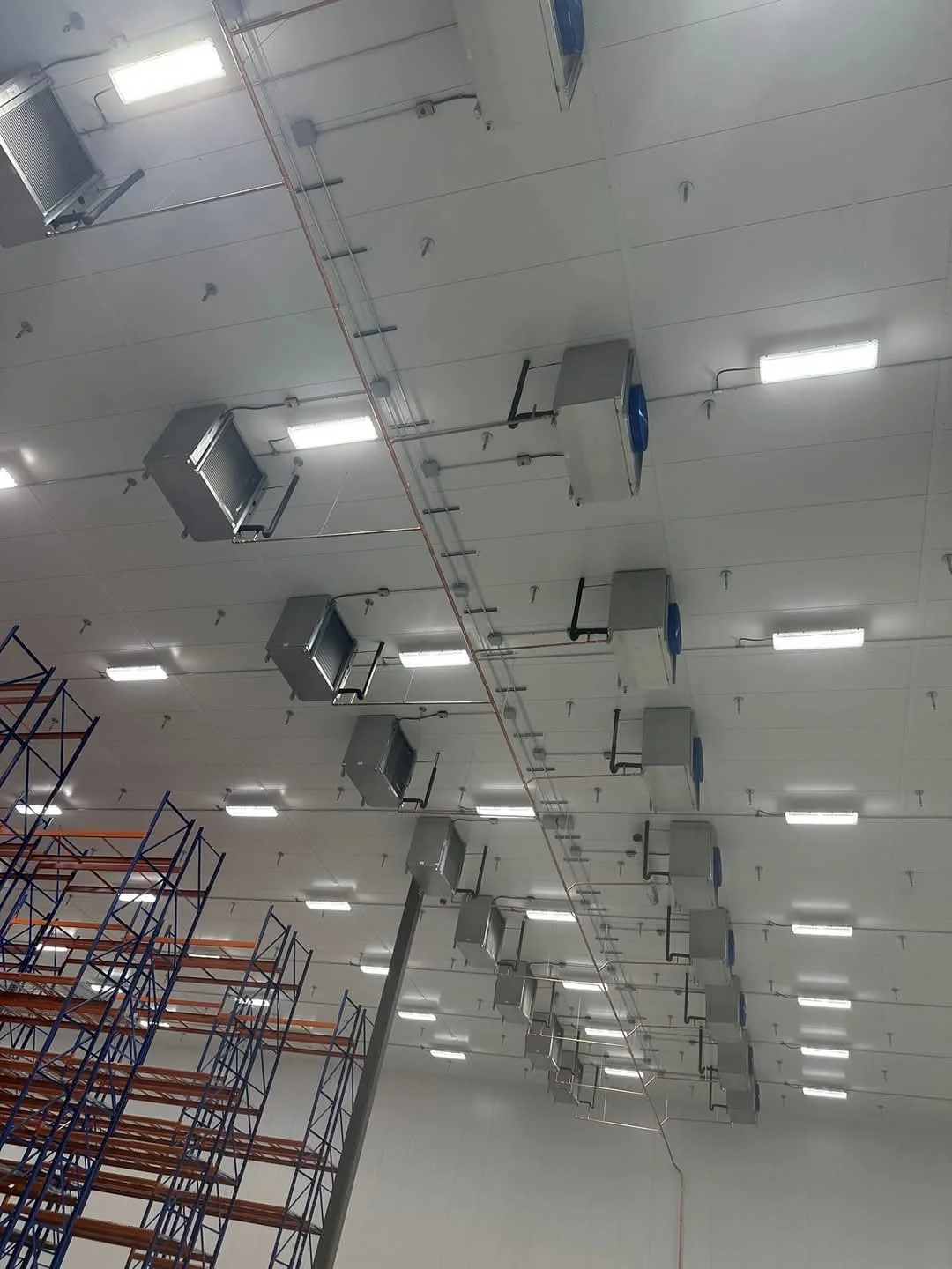 warehouse cooler.jpg