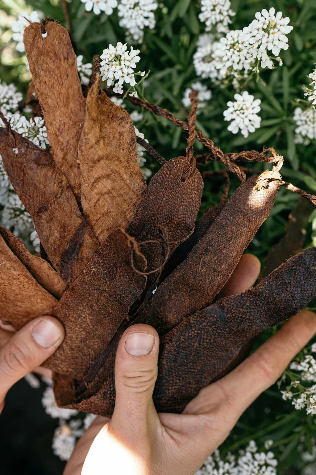 Oregon Ocean Cluster in Action | Nothing wasted