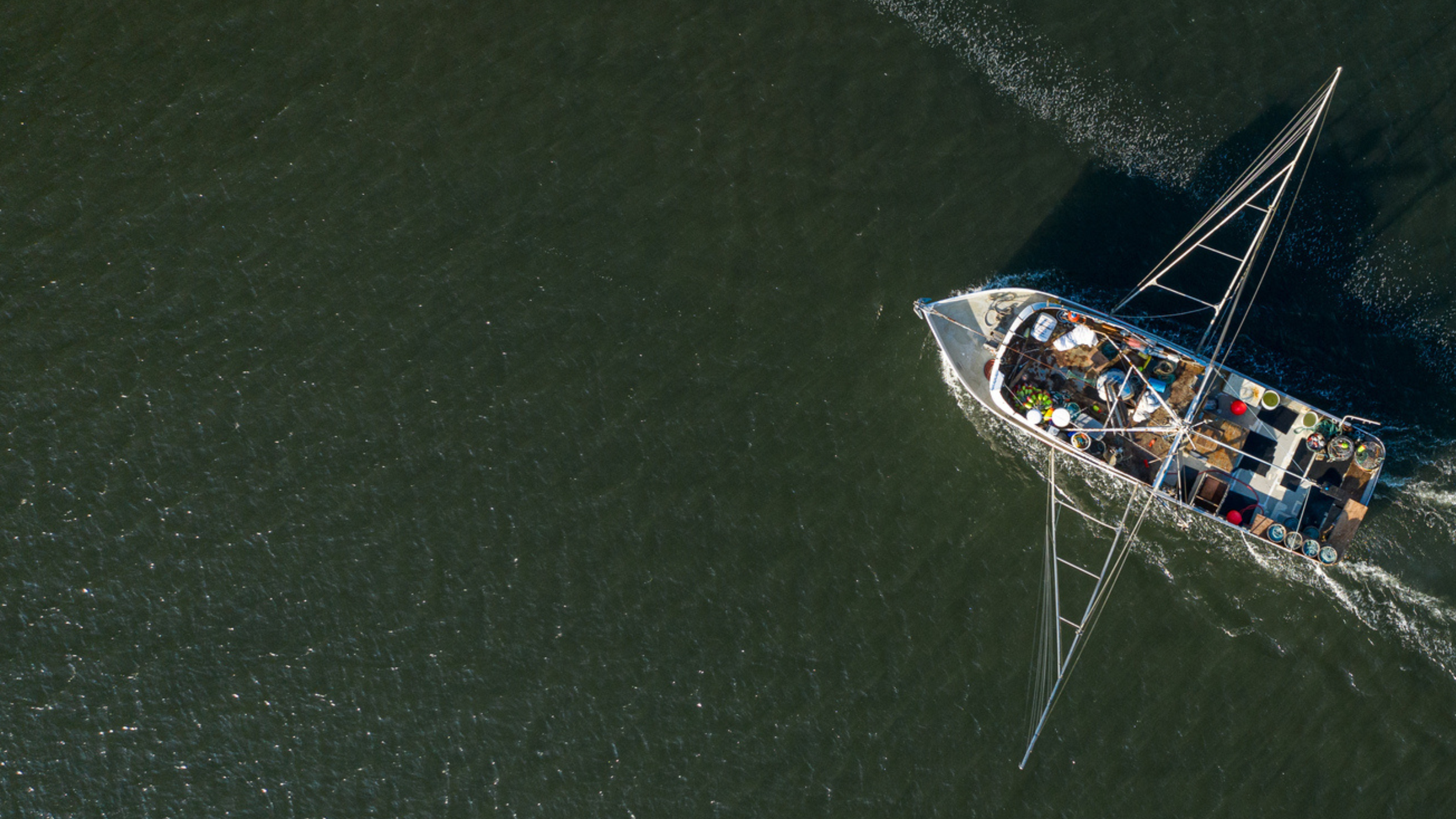 Untitled design (39).png