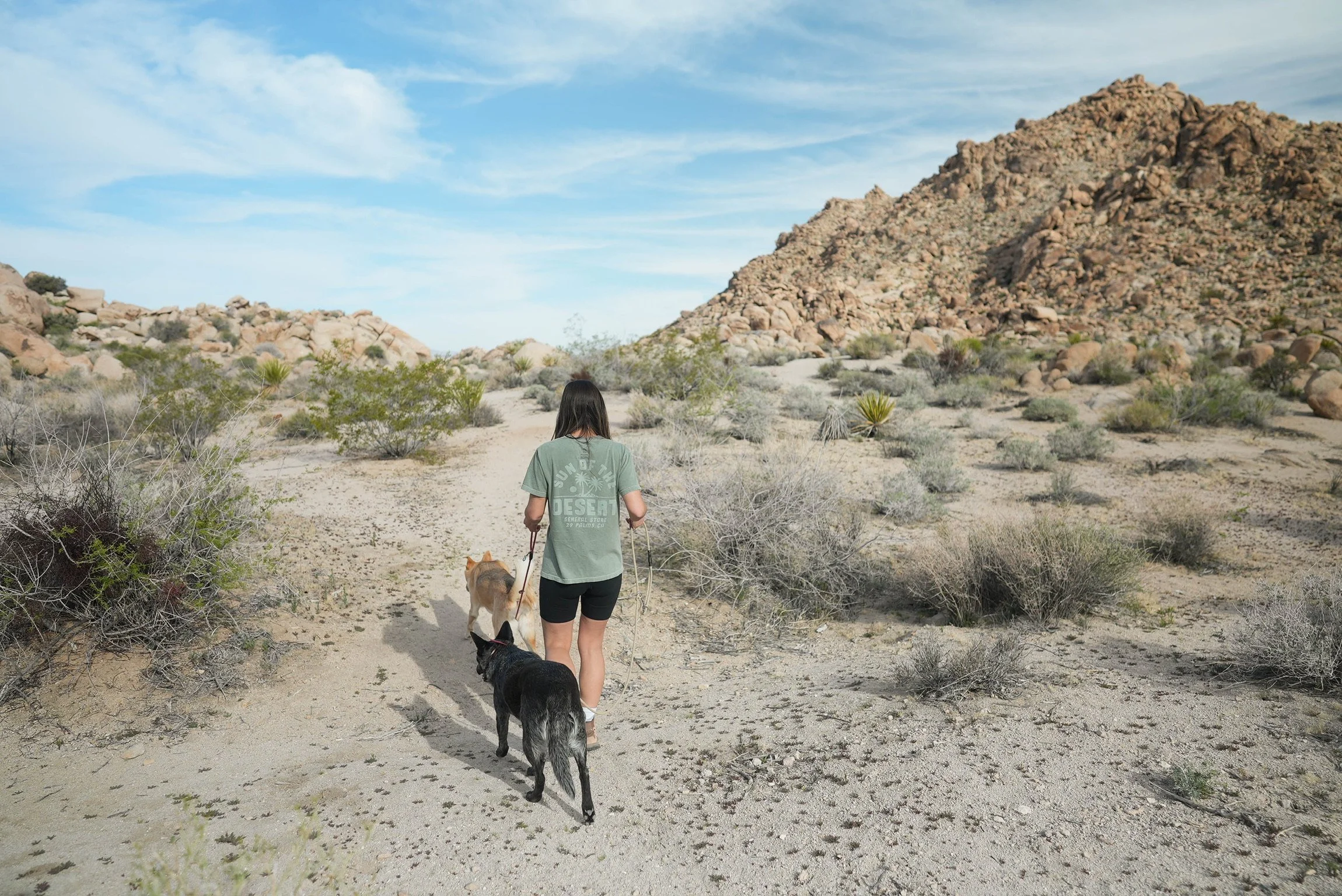A woman walks with two dogs on a sandy desert trail, with rocky hills and sparse desert vegetation under a partly cloudy sky.
