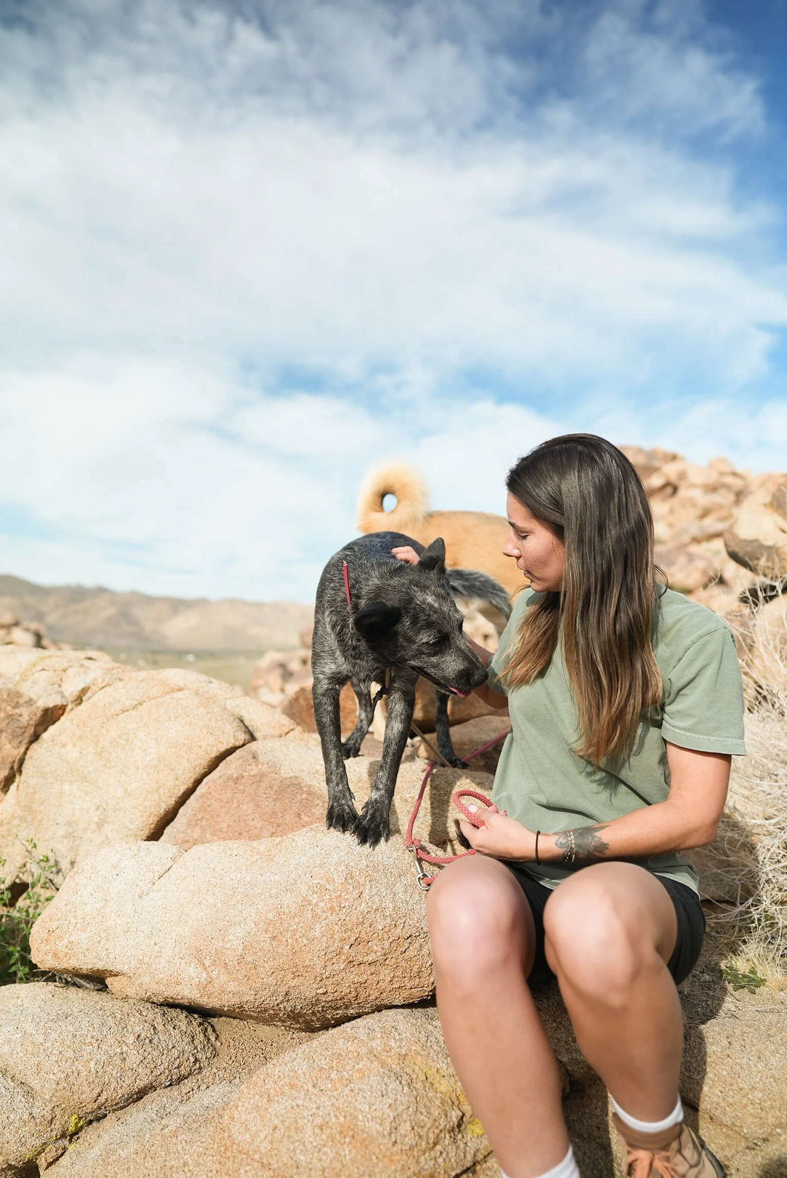 A woman with long brown hair sitting on rocks outdoors, dog on rocks, and a dog in the background, under a partly cloudy sky.