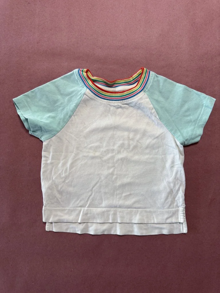 Rainbow Crewneck Tee 2T